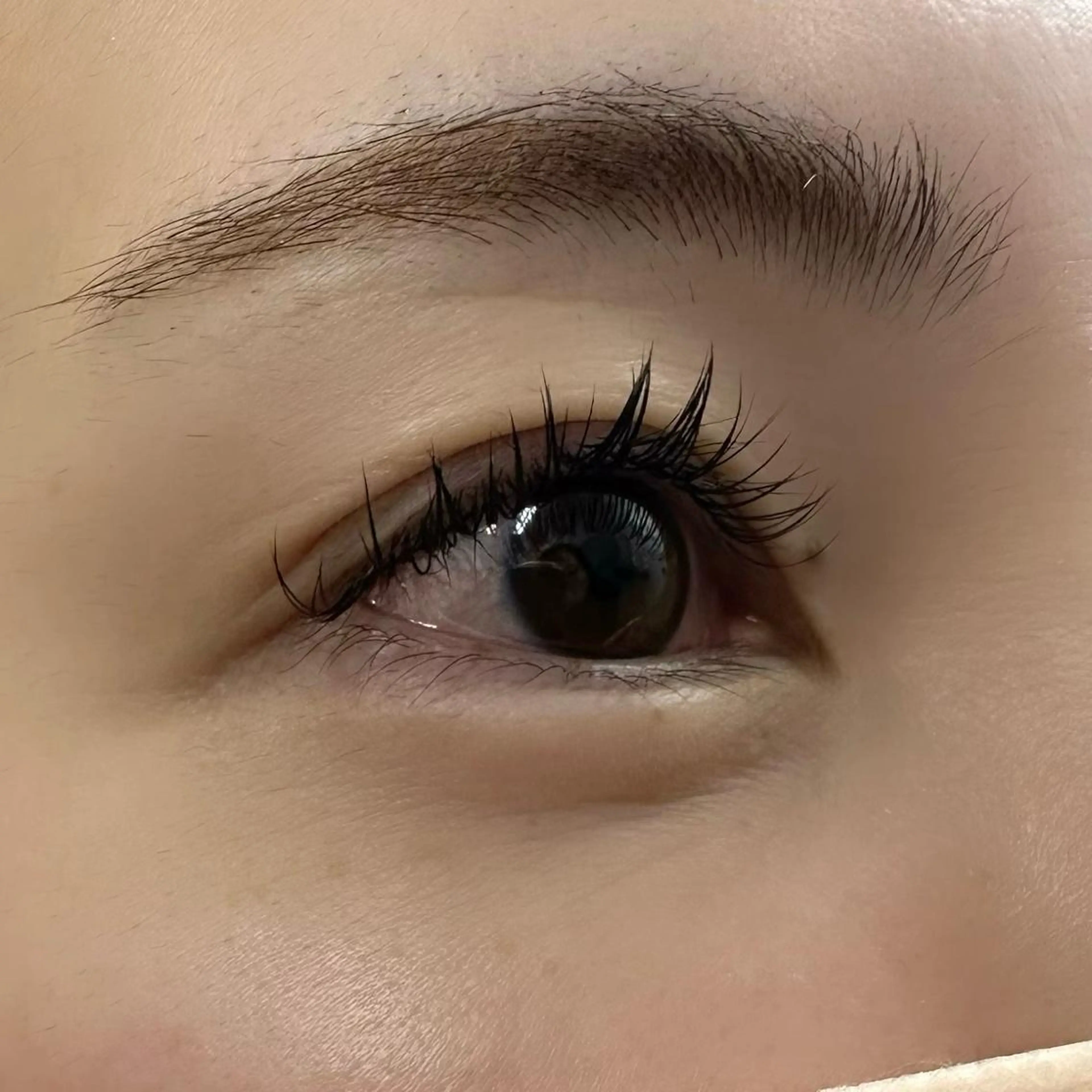 マツエク・マツパ Cカール フラットラッシュ Miyu🦄ash メンズカット/まつげのヘアスタイル