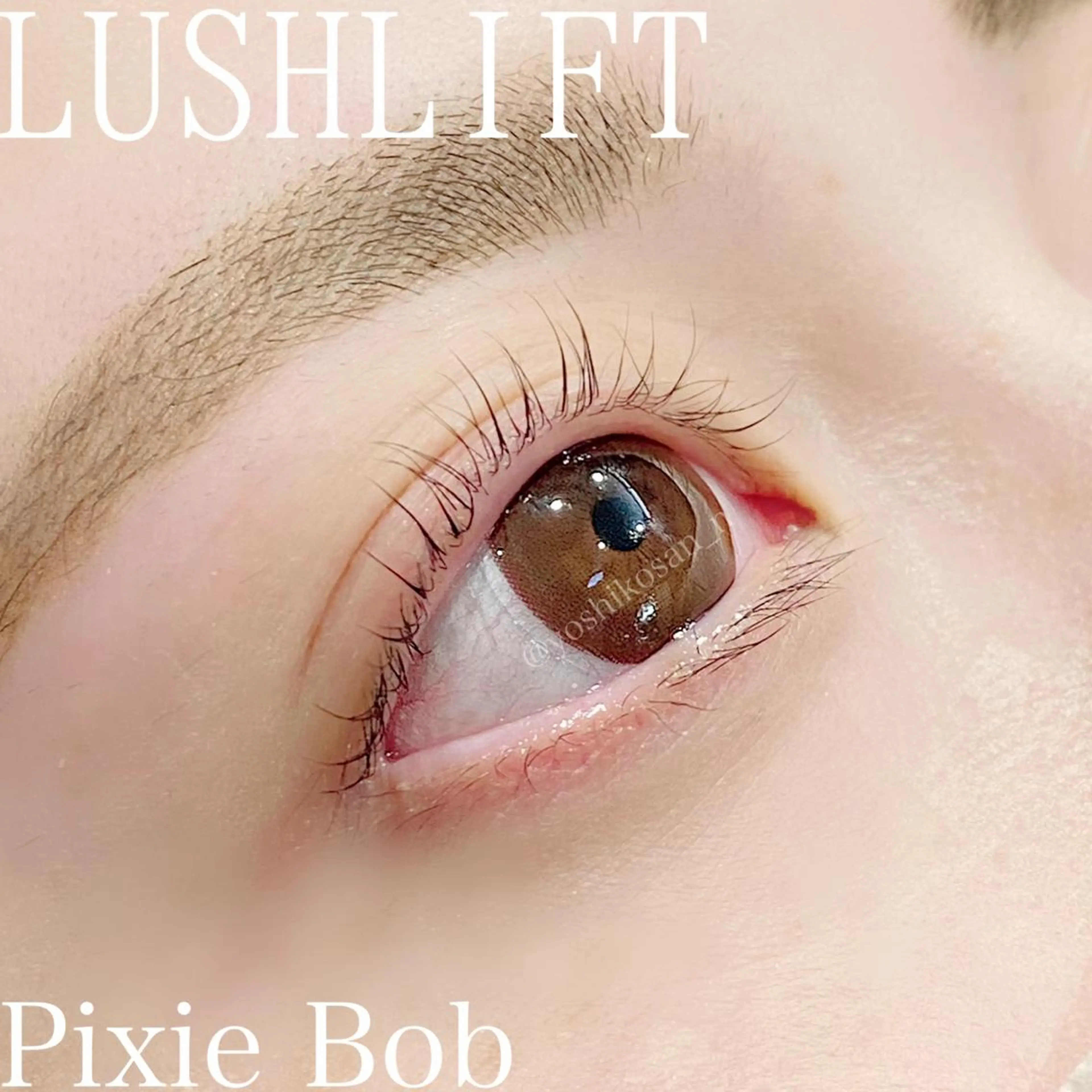 ロング マツエク・マツパ Pixie Bob 🐈‍⬛　位田のマツエク・マツパデザイン