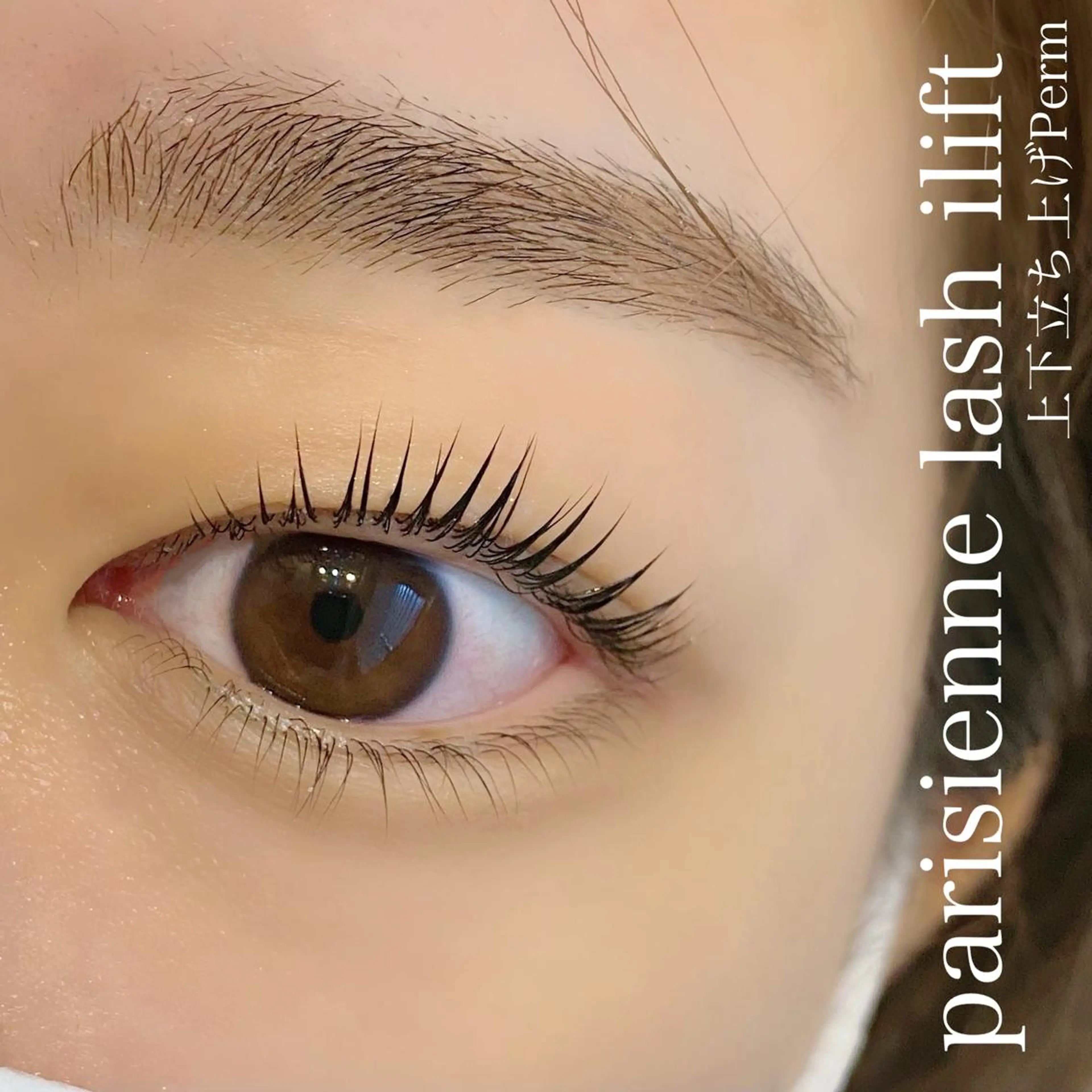 マツエク・マツパ マツパ 束感パリジェンヌ上下 恵比寿ayakaのマツエク・マツパデザイン