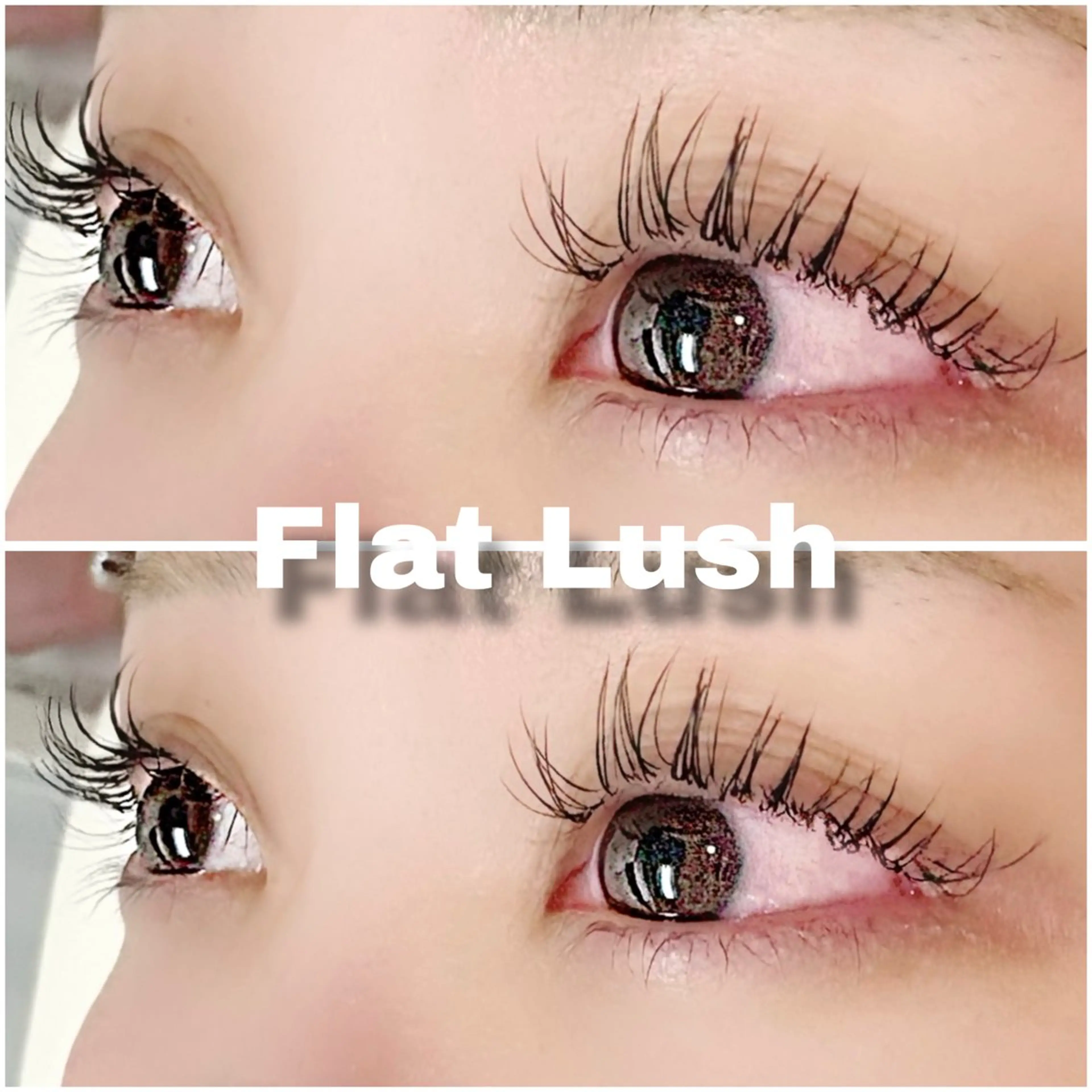 マツエク・マツパ Cカール フラットラッシュ セクシー 【マツエク/パーマ】 成田のマツエク・マツパデザイン