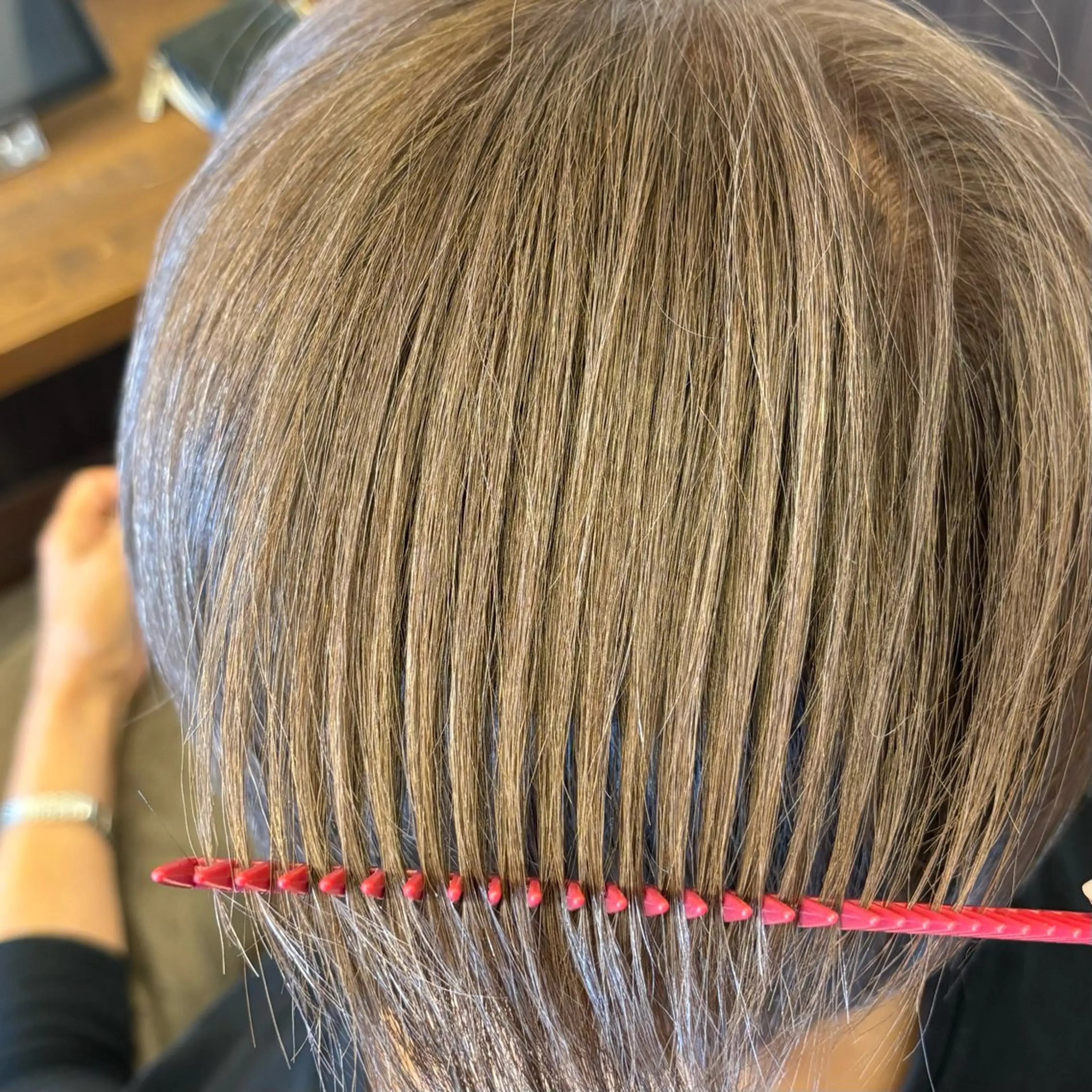 ショート ハイライト カット ヘアカラー トリートメント Pixie Bob 🐈‍⬛　位田のマツエク・マツパデザイン