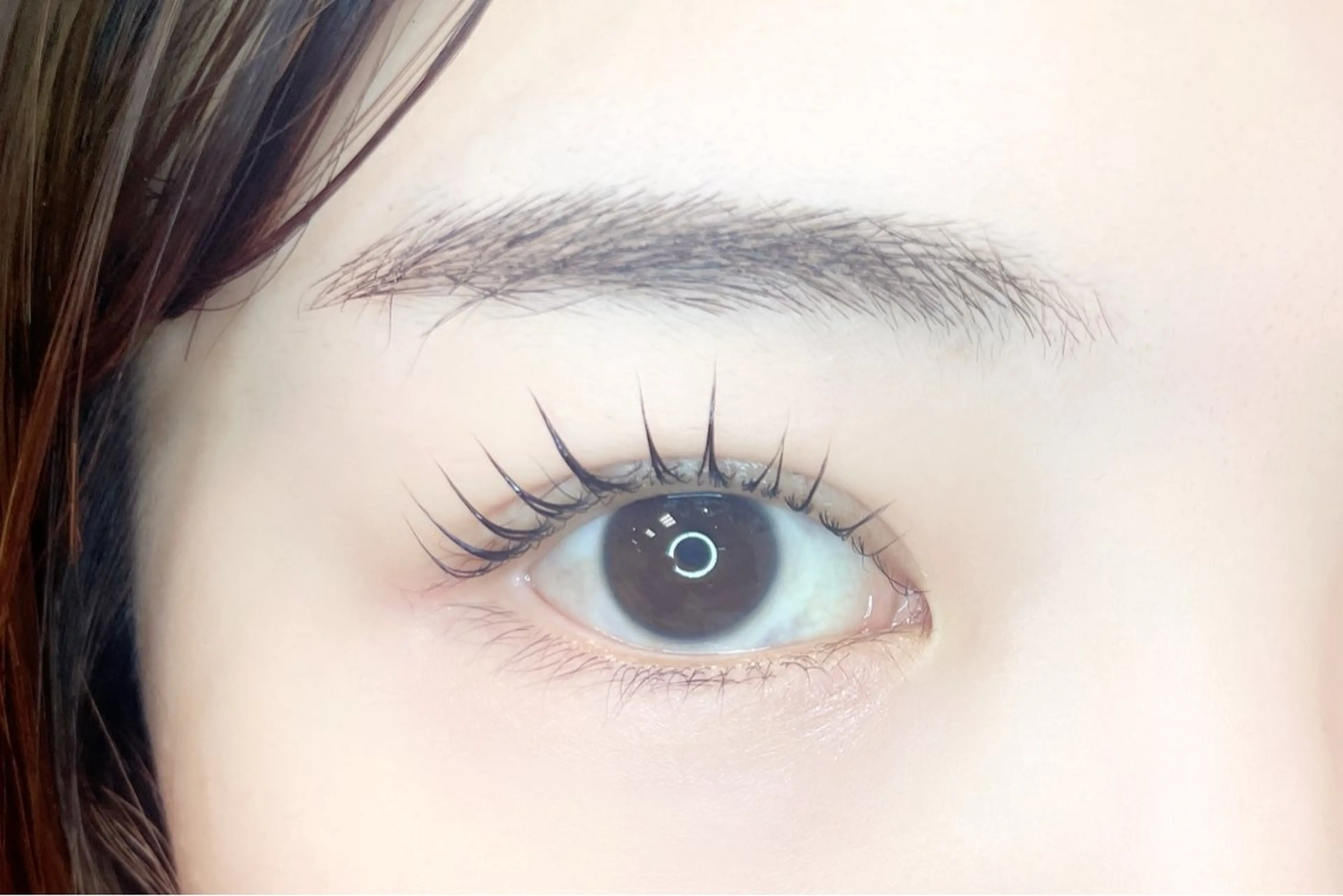 【7月限定】まつげパーマ＋幹細胞トリートメント/7600→5600円の写真