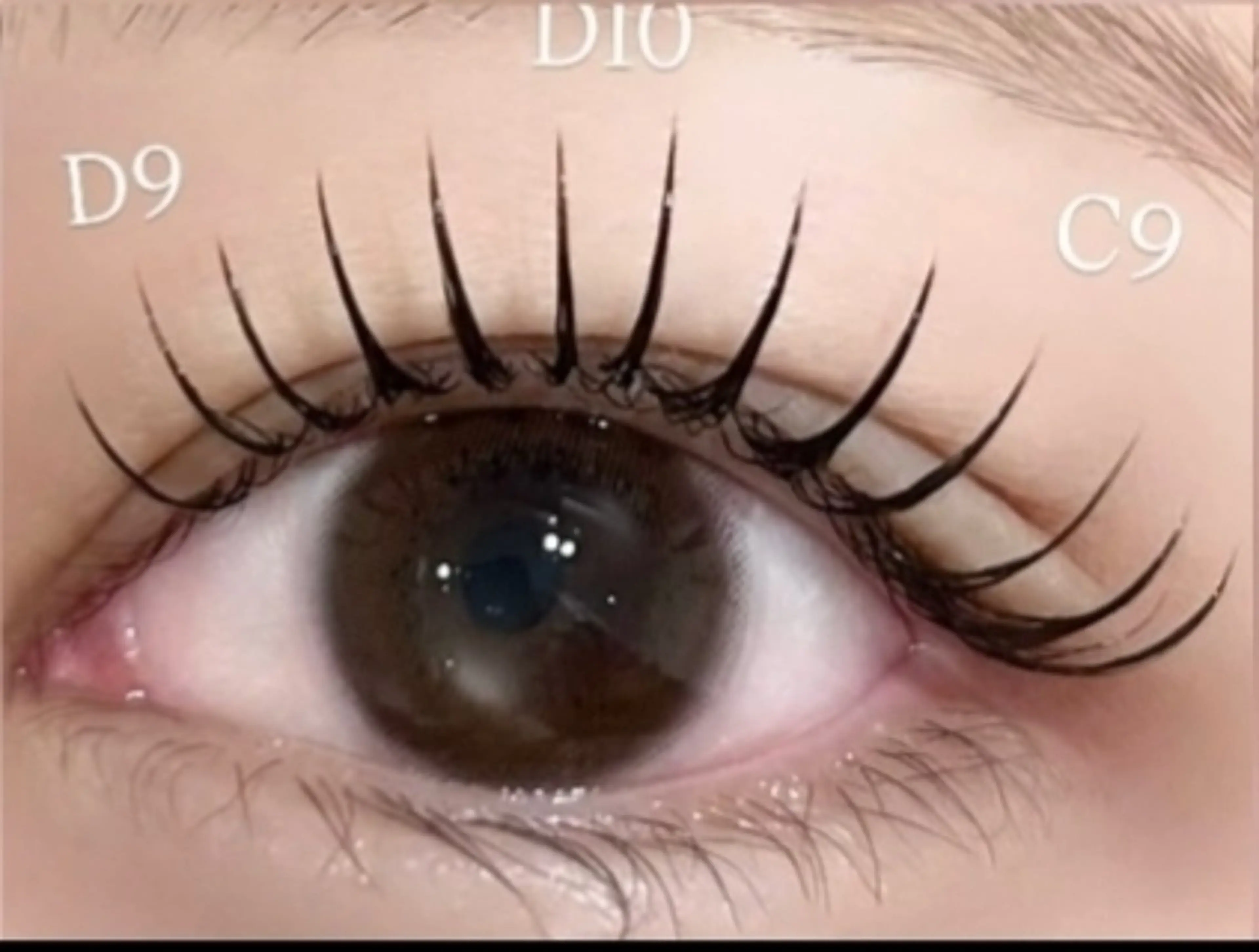 マツエク・マツパ SUN WENのマツエク・マツパデザイン