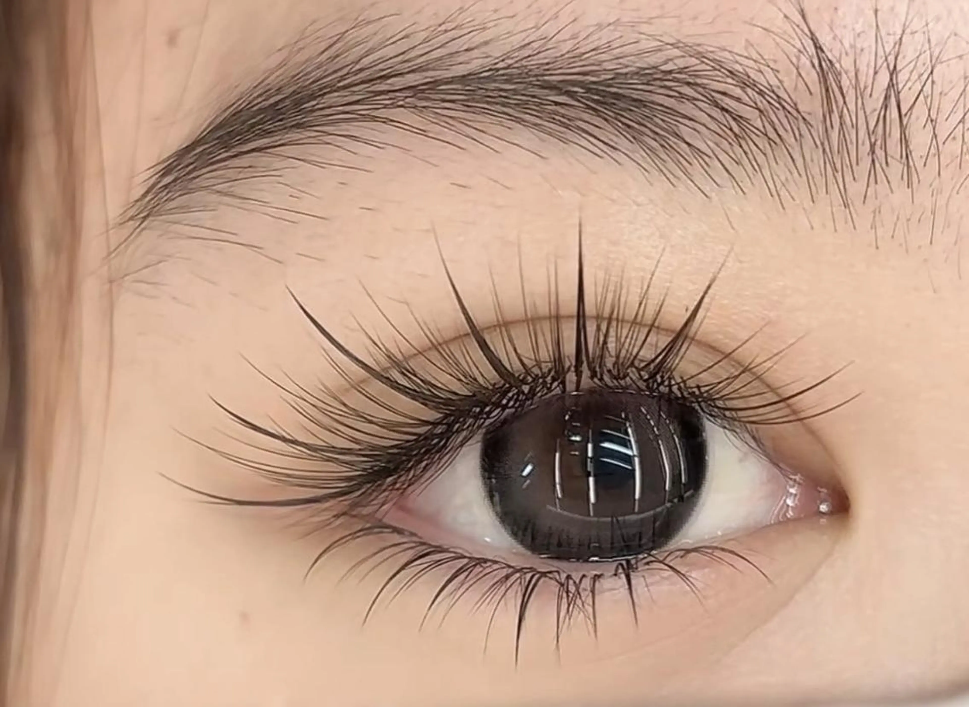 【漫画/ワンホンデザイン100本+下まつ毛20本】¥10980の写真