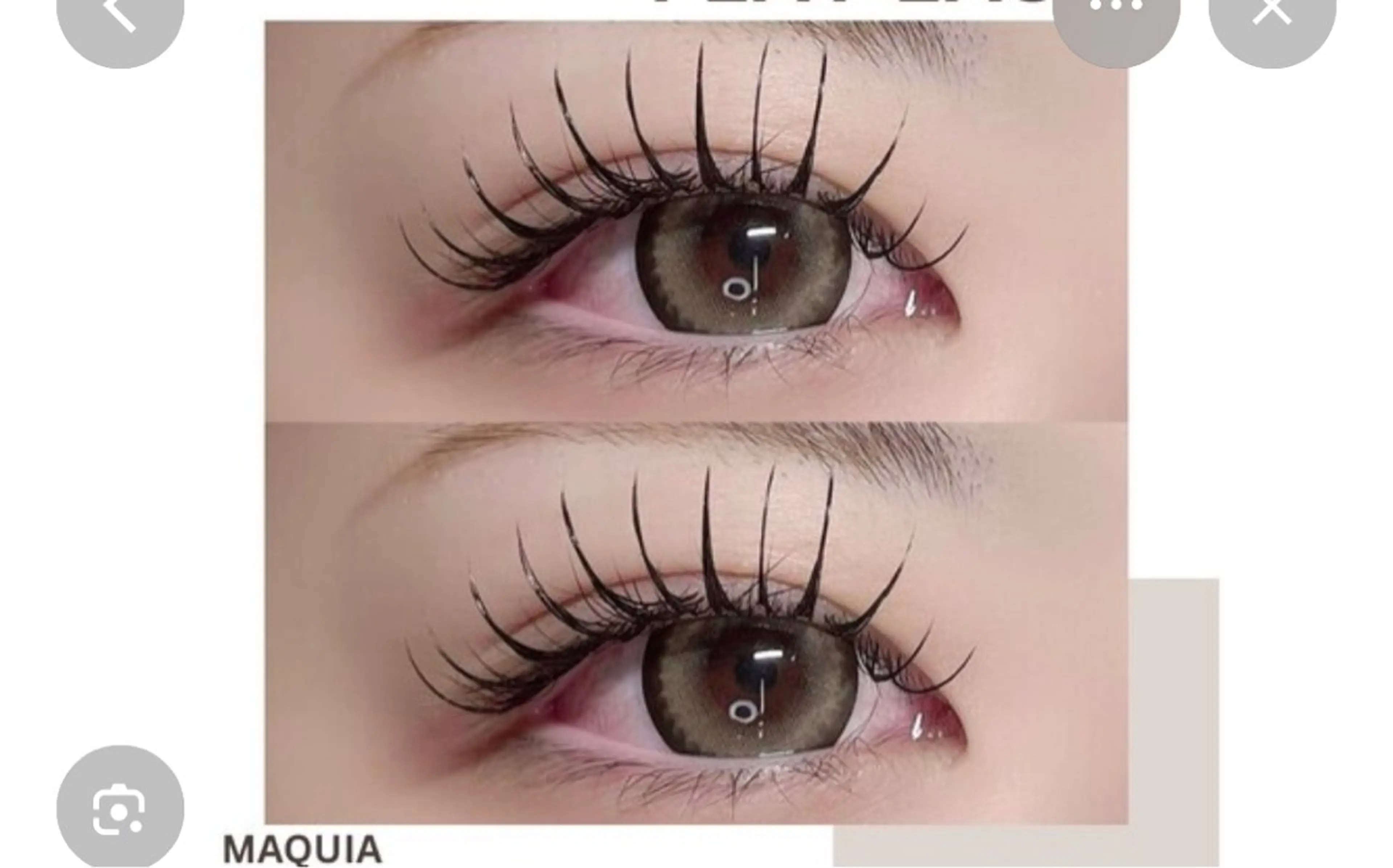 マツエク・マツパ マツエク特化 根本莉子のマツエク・マツパデザイン