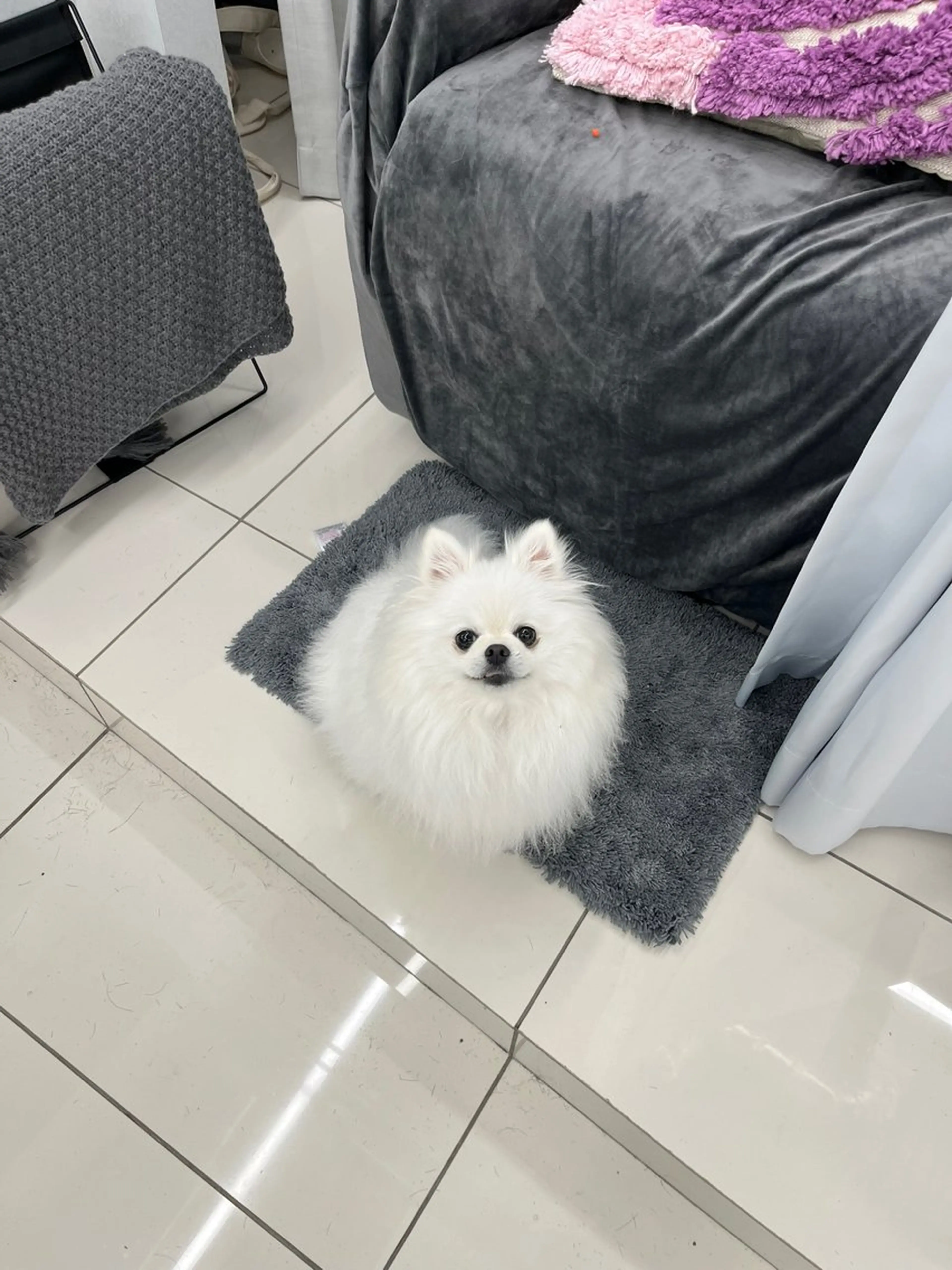 マツエク・マツパ Le Cheriss karinの眉毛・アイブロウイメージ