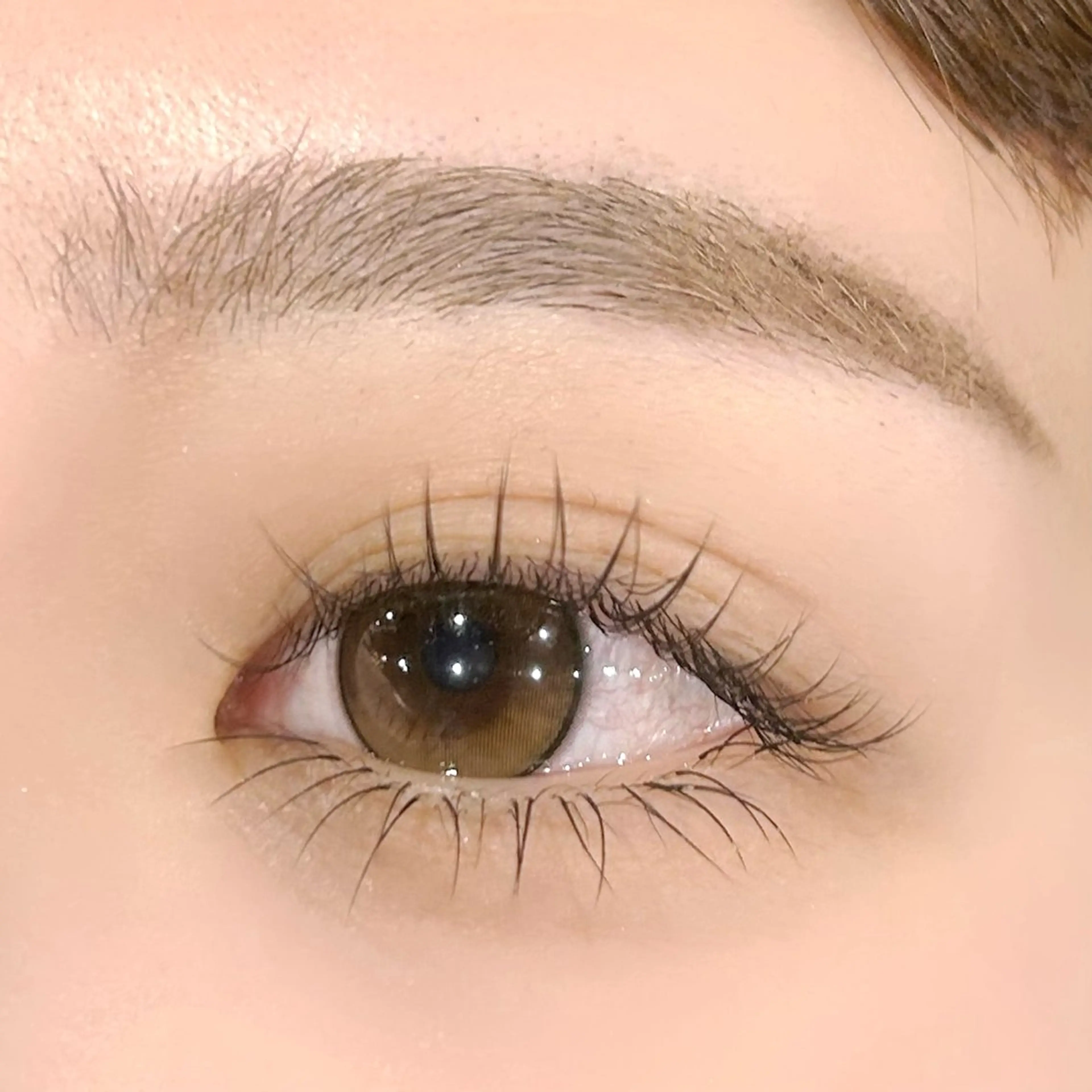 🩶ラッシュリフト(アイシャンプー＋コーティング仕上げ)＋アイブロウwax(間引き)🩶の写真