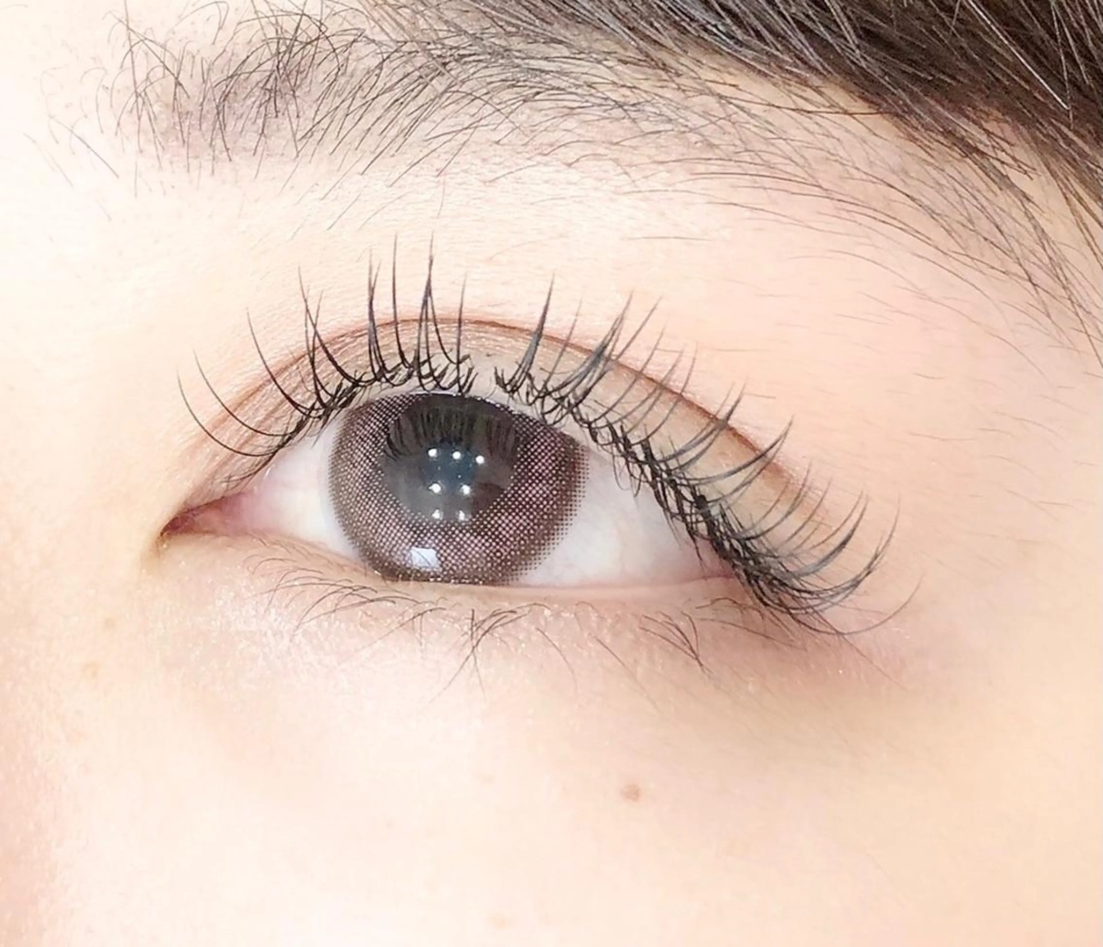 フラットラッシュ100本✨ブラウンもあります🤎の写真