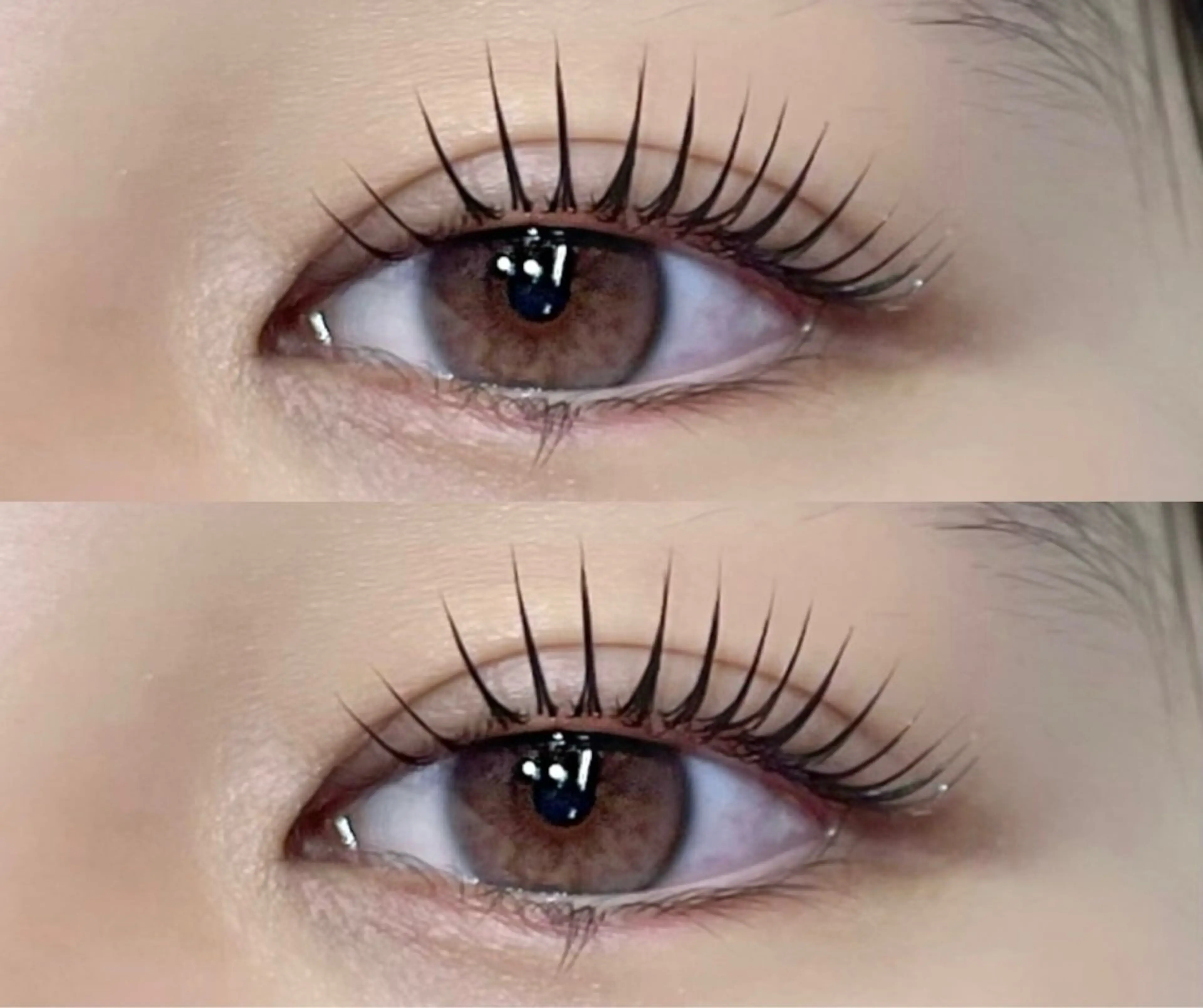 【ミニモ学割--新規】まつ毛パーマ×コーティング仕上げ🪄の写真