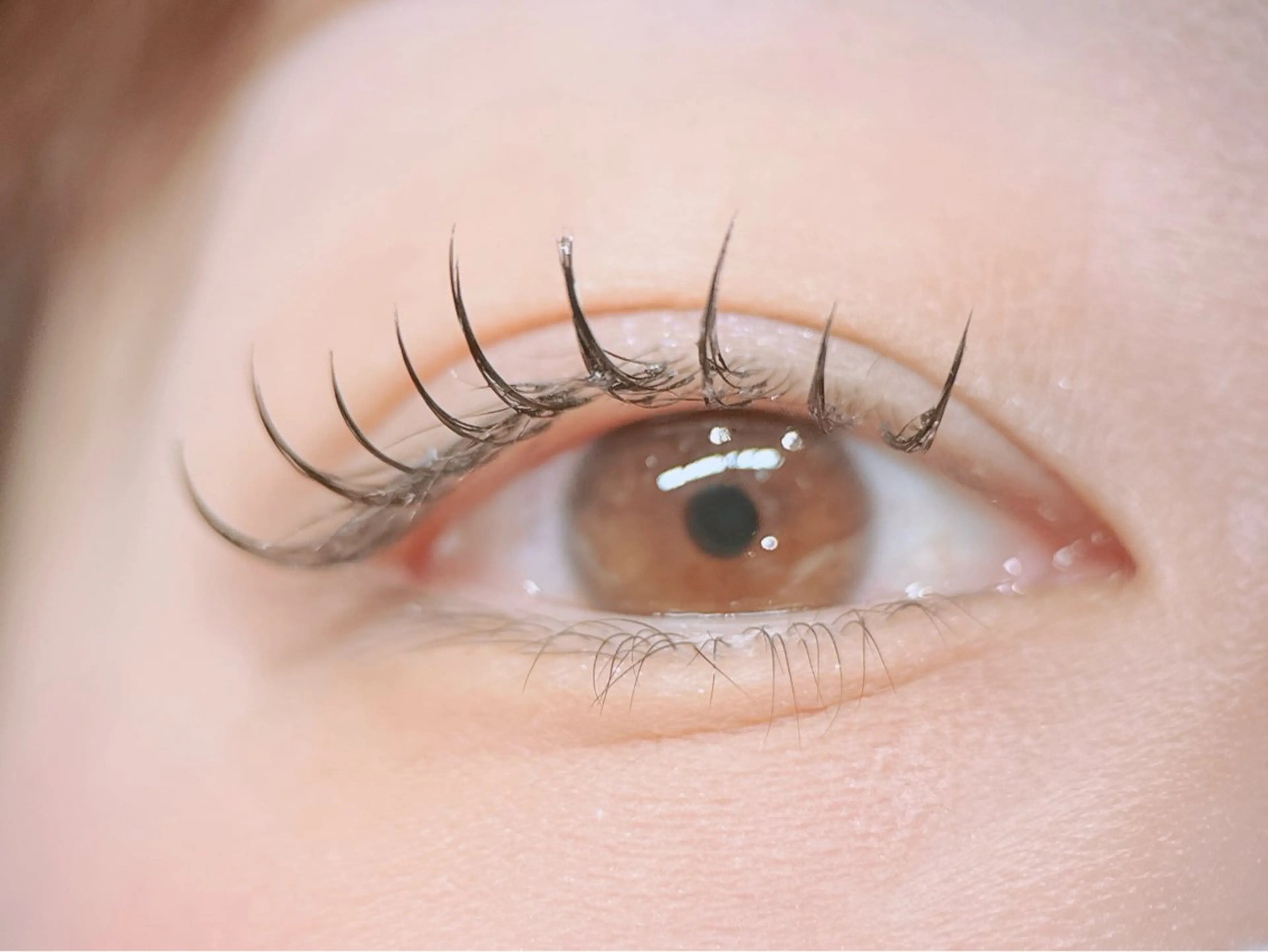 マツエク・マツパ マツエク ◝✩ ᖇIᒍYᑌのマツエク・マツパデザイン