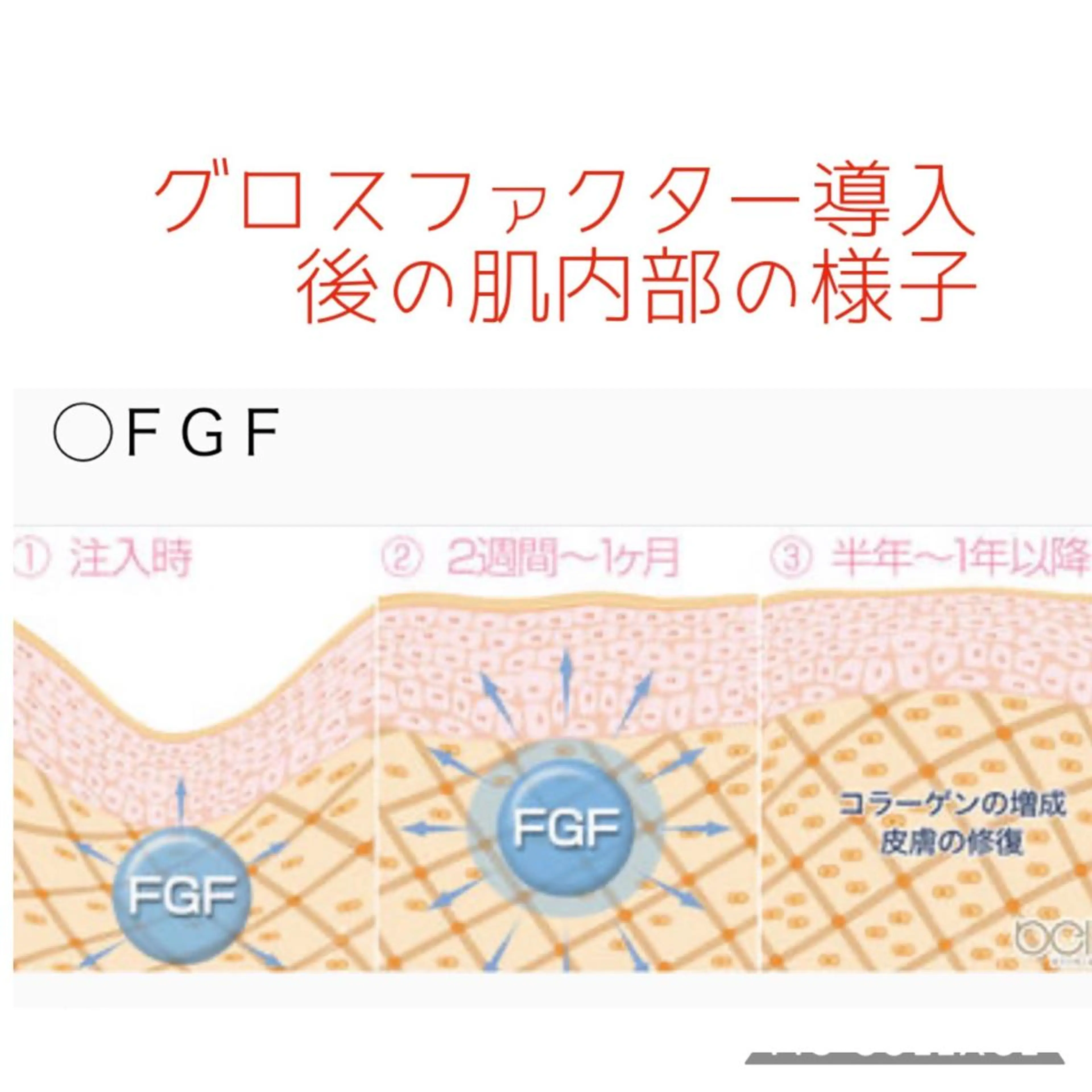 美肌専門salon クオレのエステ・リラクイメージ