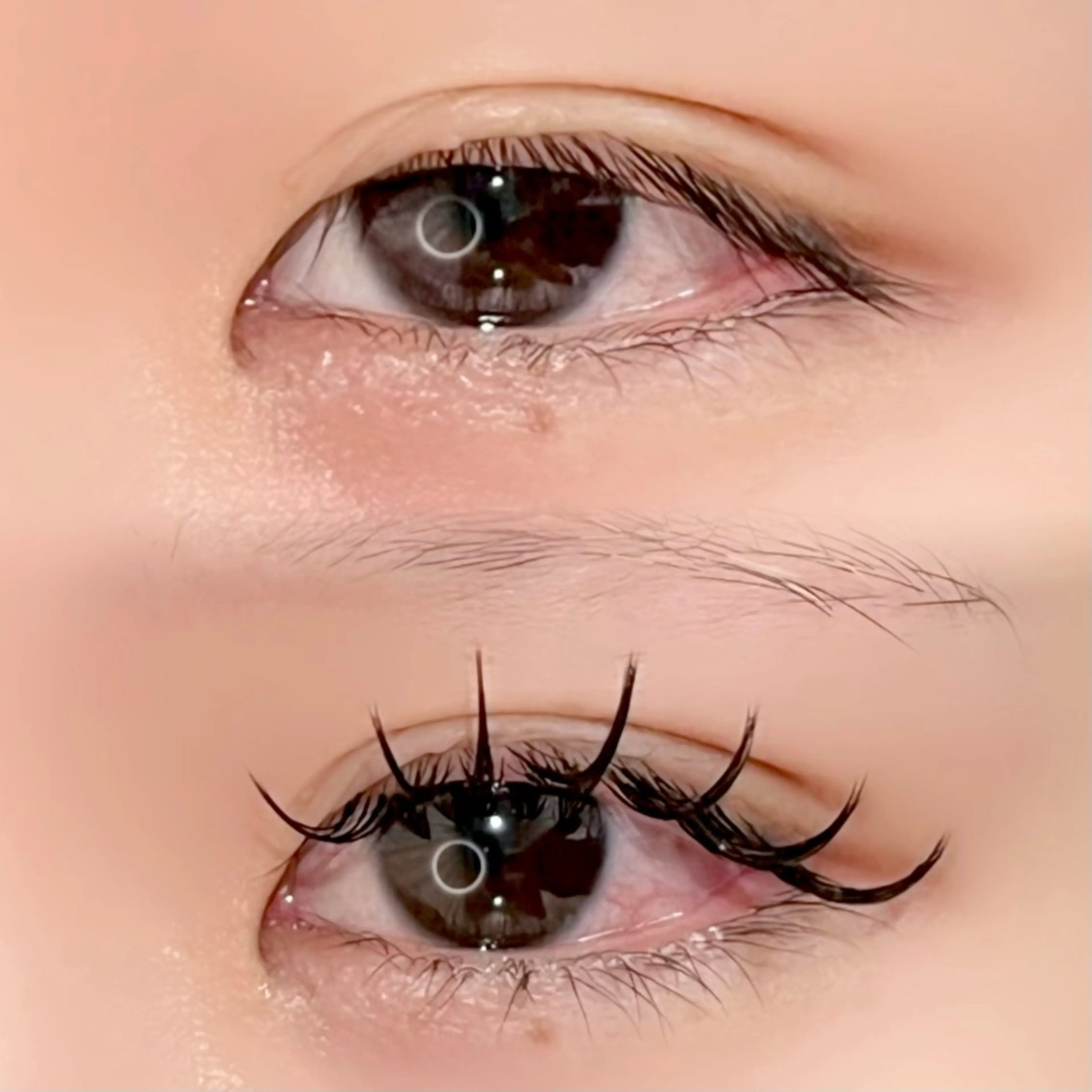 ꒰ ‪再来付け足し ꒱‬セーブル80本🎀🫧⚠︎︎現金のみの写真