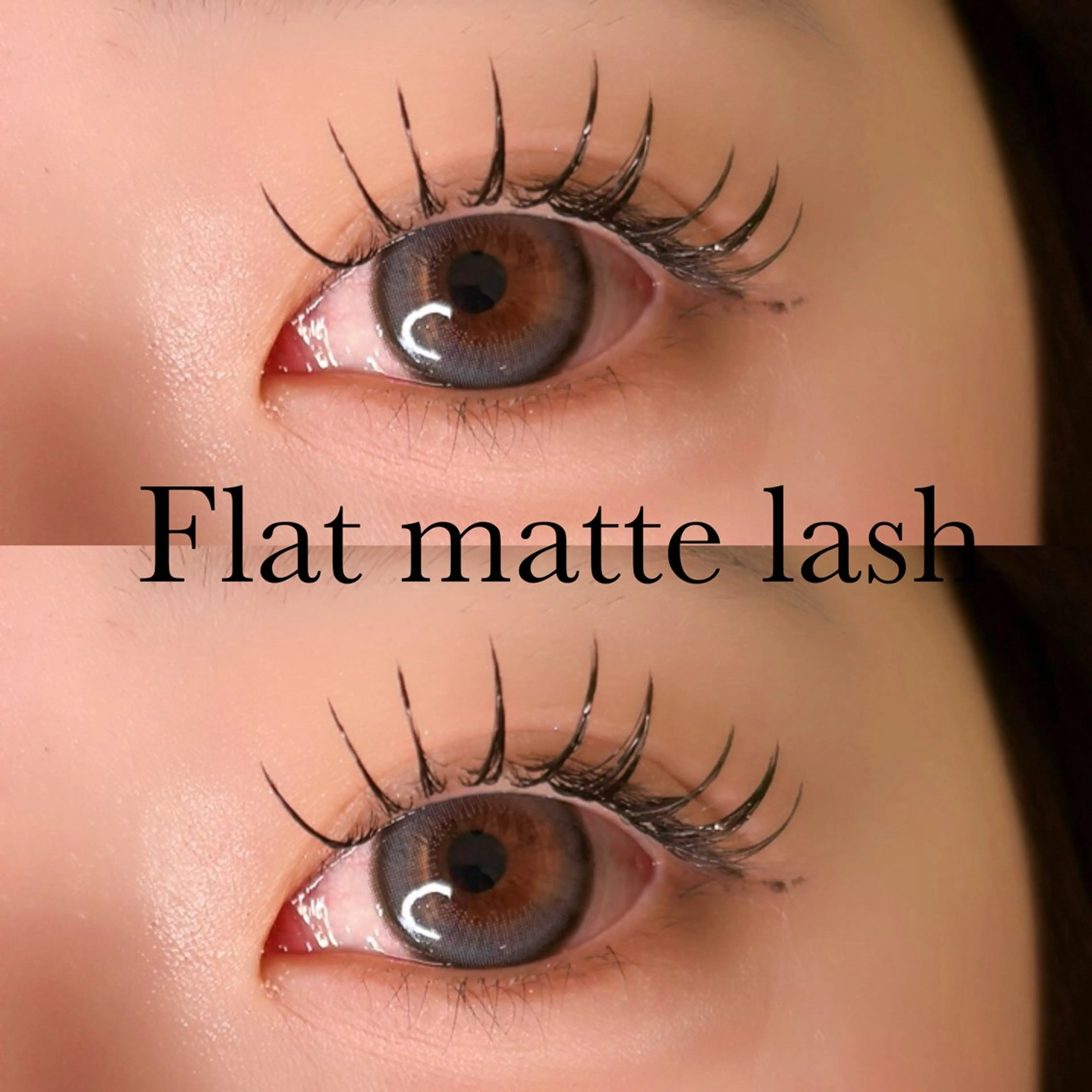 【Flat matte lash💫】フラットマットラッシュ120本の写真