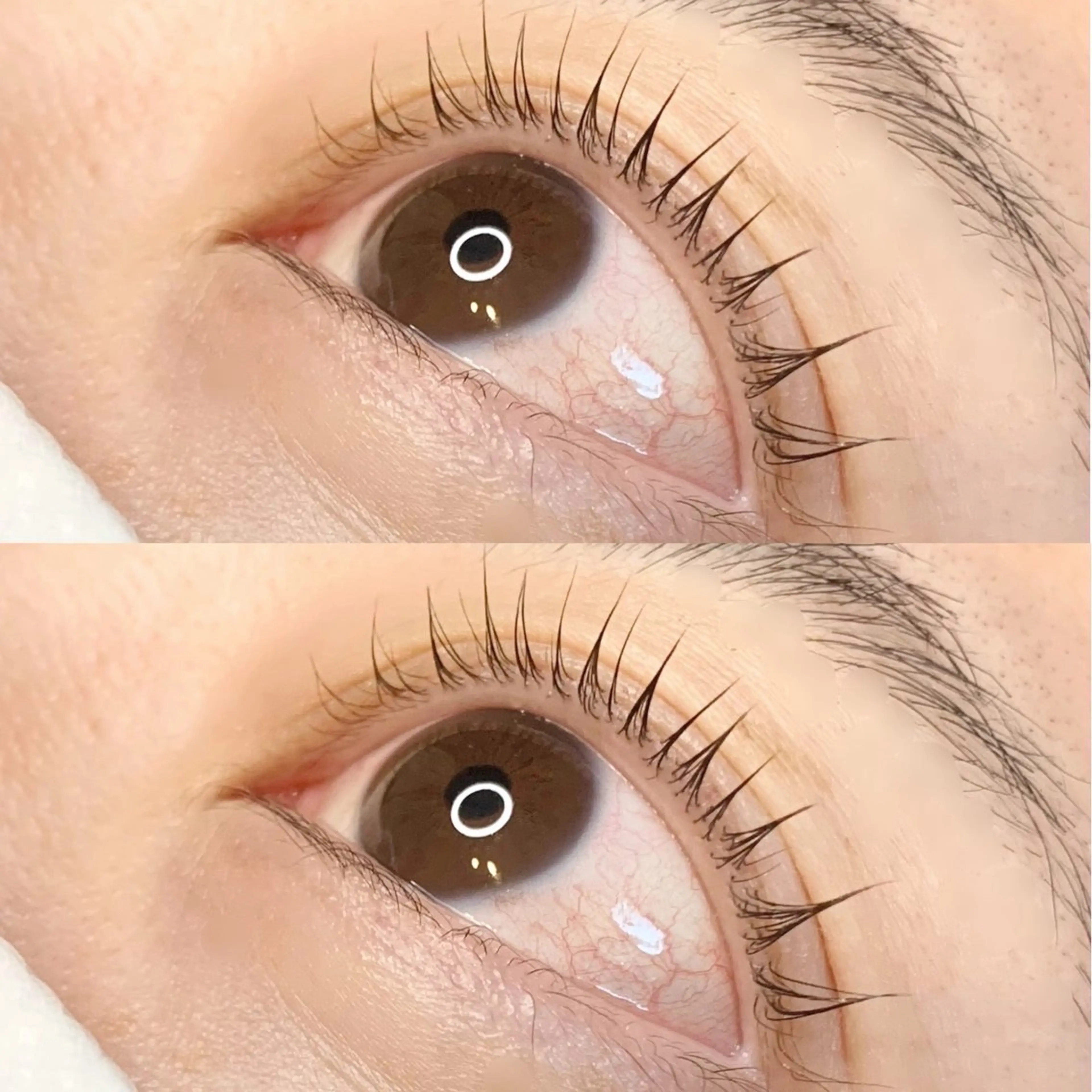 マツエク・マツパ kajiura /THREE藤沢店のヘアスタイル