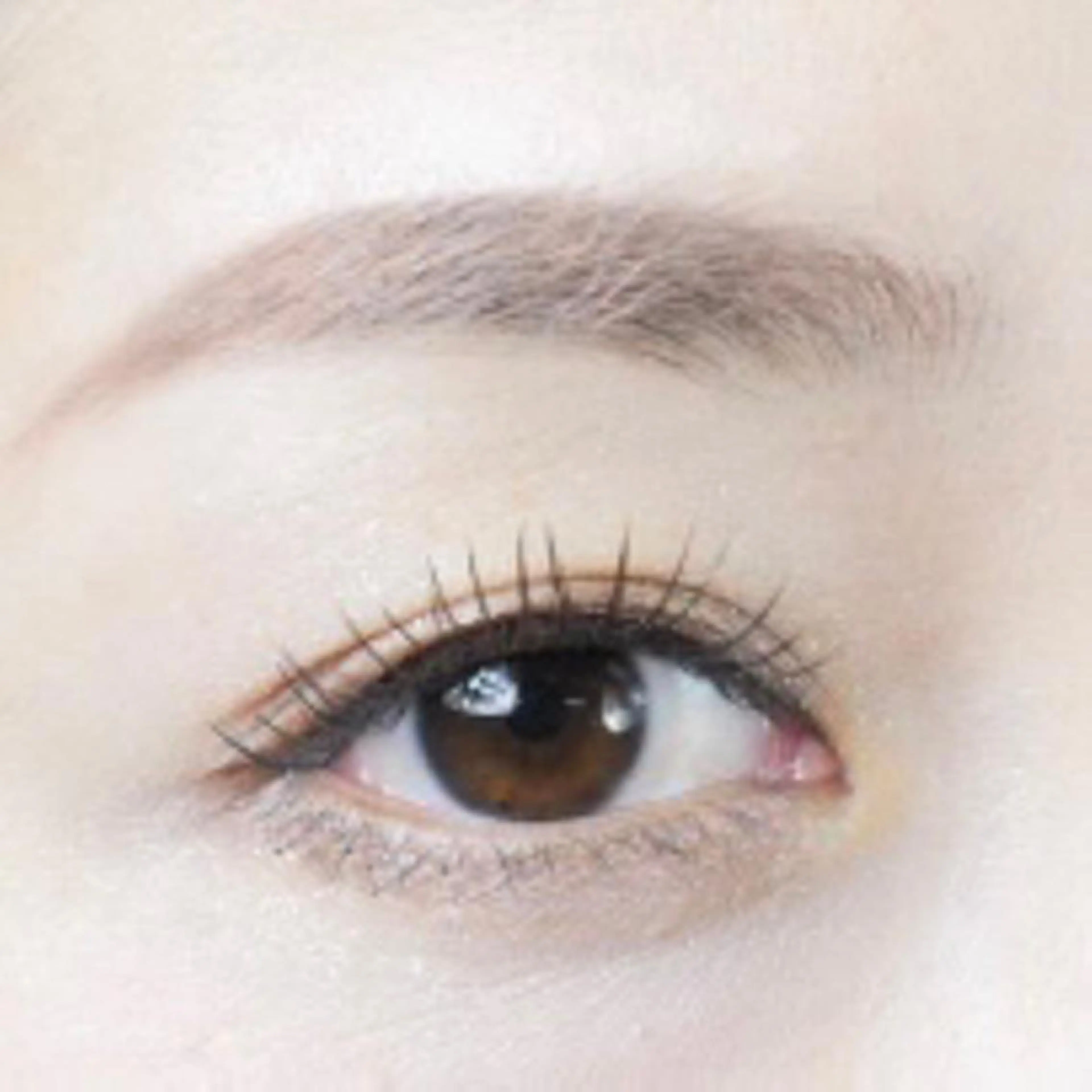 マツエク・マツパ oyat ..の眉毛・アイブロウイメージ