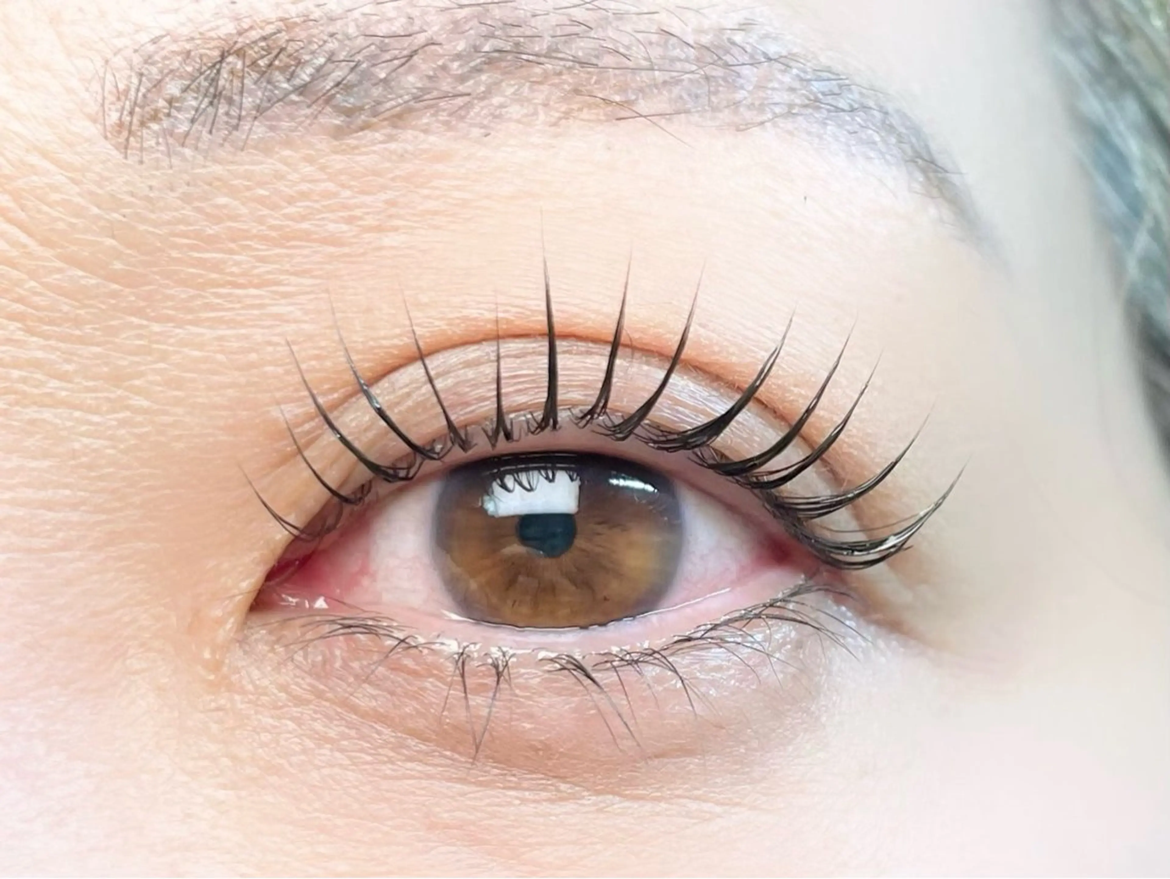 マツエク・マツパ 韓国風マツエク パリジェンヌラッシュリフト 一重×まつ毛パーマ ank アンクのマツエク・マツパデザイン