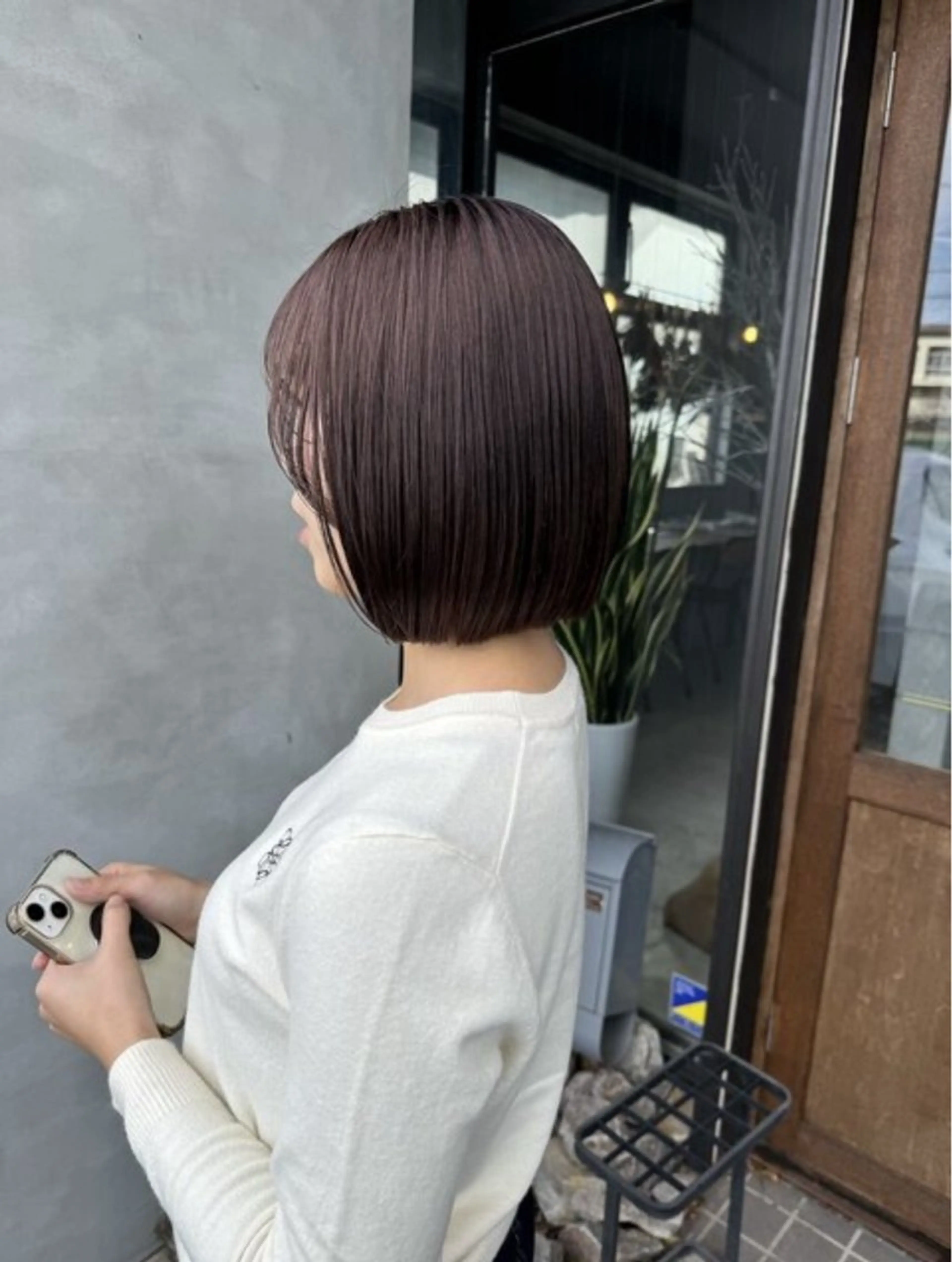 ❄️ワンカラーの写真