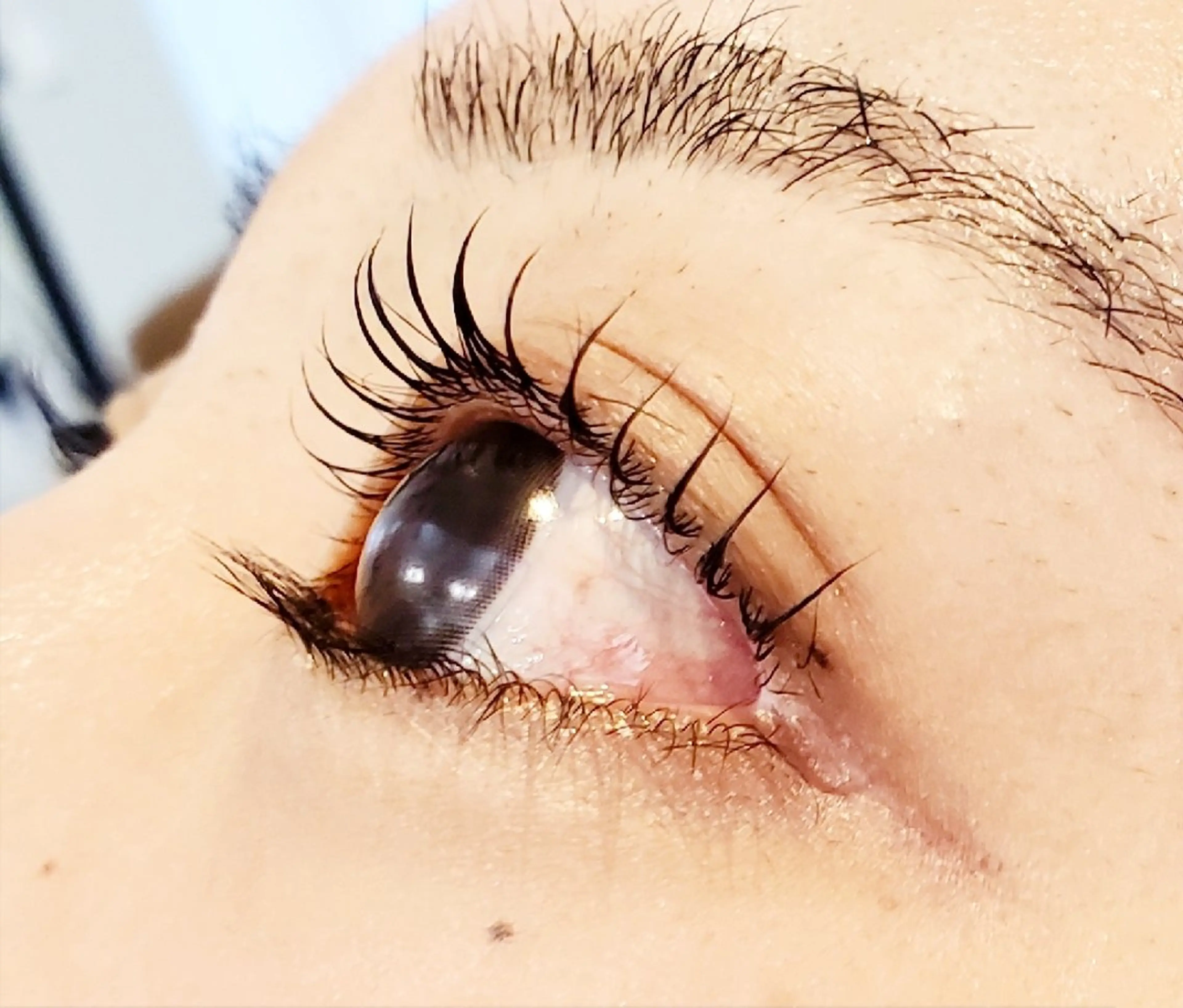 マツエク・マツパ 一重×まつ毛パーマ CHIAI IMAGE-Aのマツエク・マツパデザイン