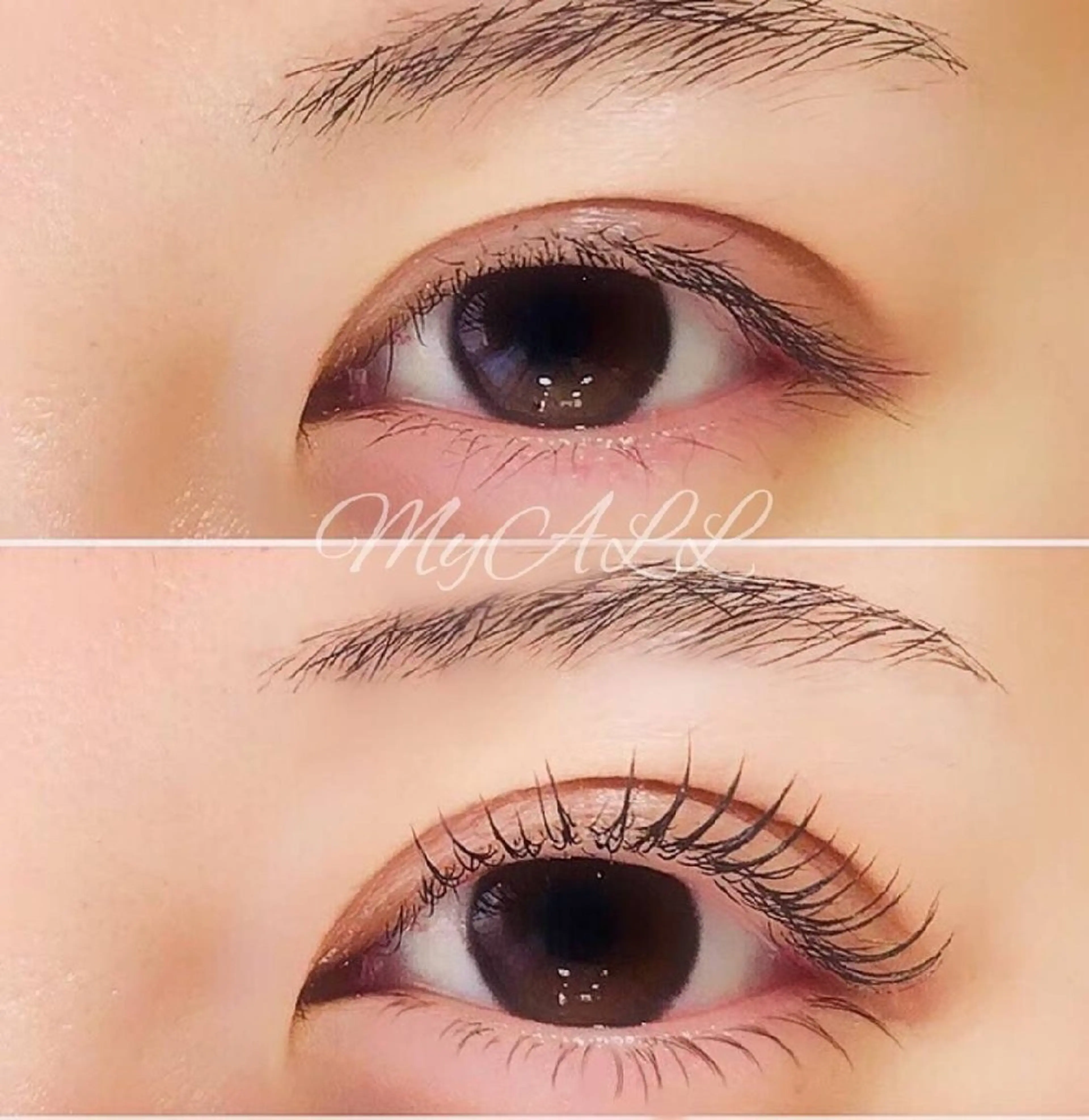 まつ毛パーマ(上のみ)の写真