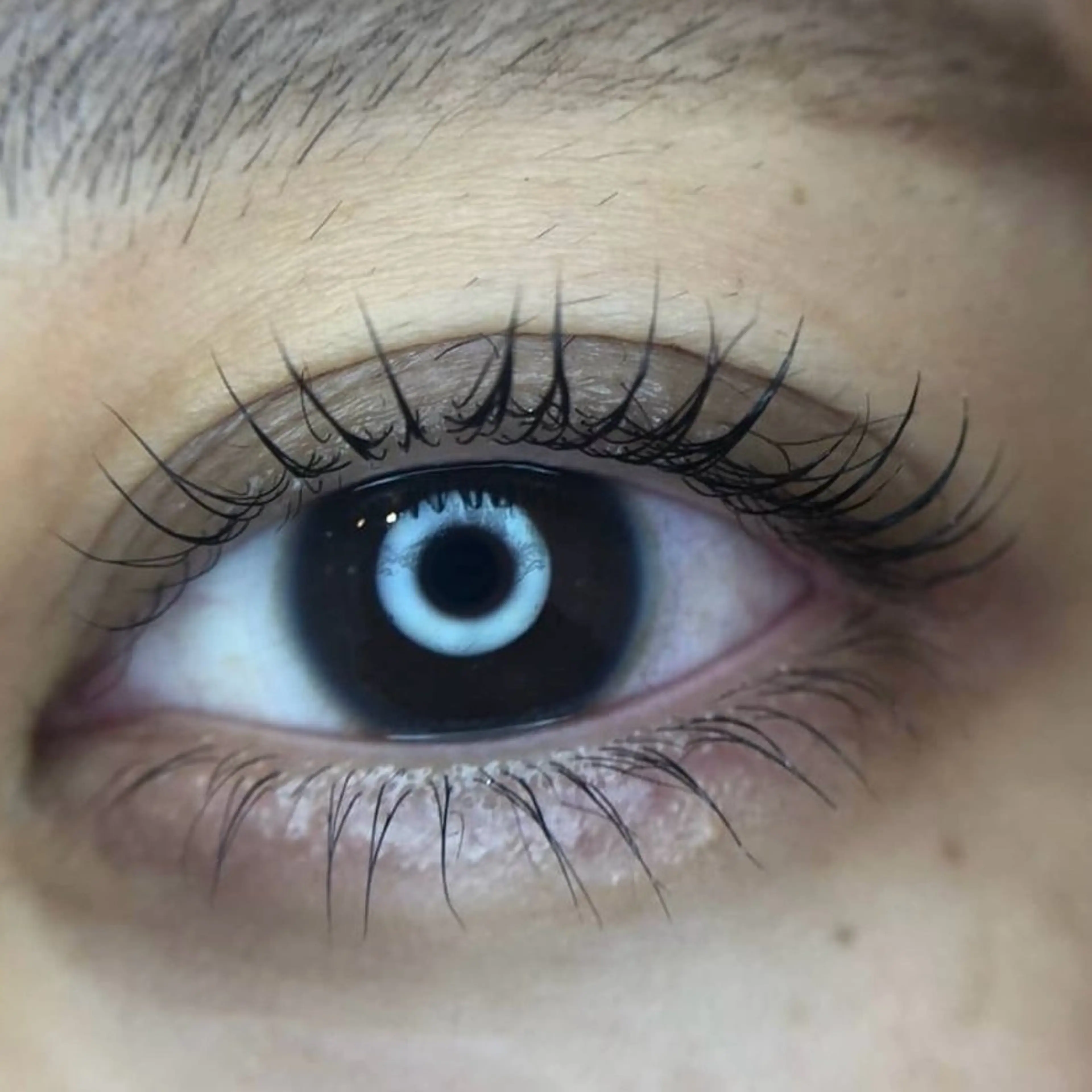 マツエク・マツパ 一重×まつ毛パーマ マツパ メゾンドシャルム NISHIKAWAのマツエク・マツパデザイン