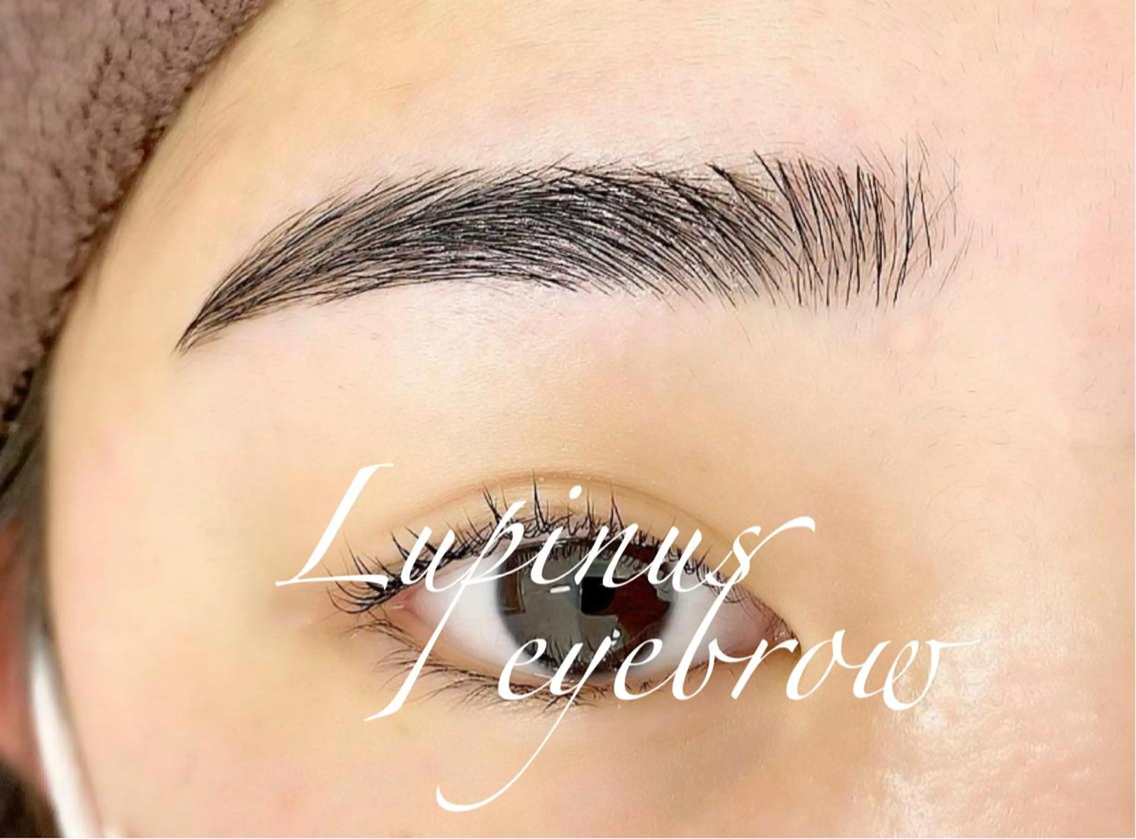 アイブロウ LAND【ランド】 小鹿のマツエク・マツパデザイン