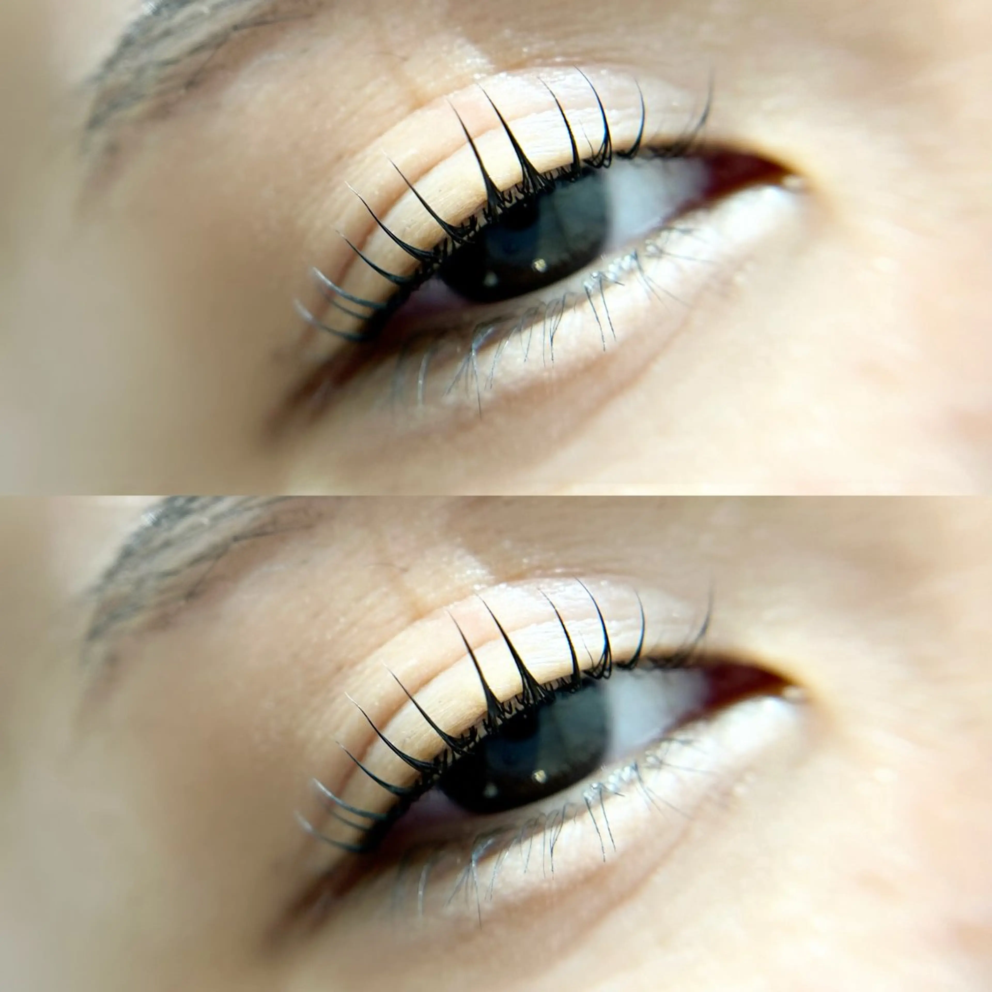 マツエク・マツパ peTiT京橋店🌷 yuiのマツエク・マツパデザイン