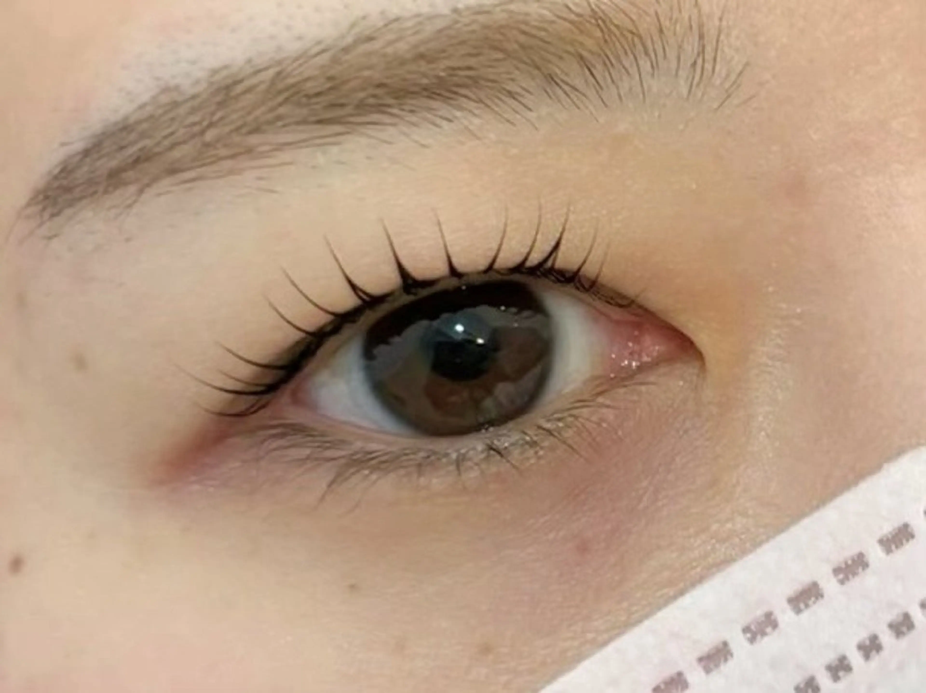 マツエク・マツパ まつげパーマ マツパ 🫧SATOMI 草加駅5分メンズ眉毛の眉毛・アイブロウイメージ