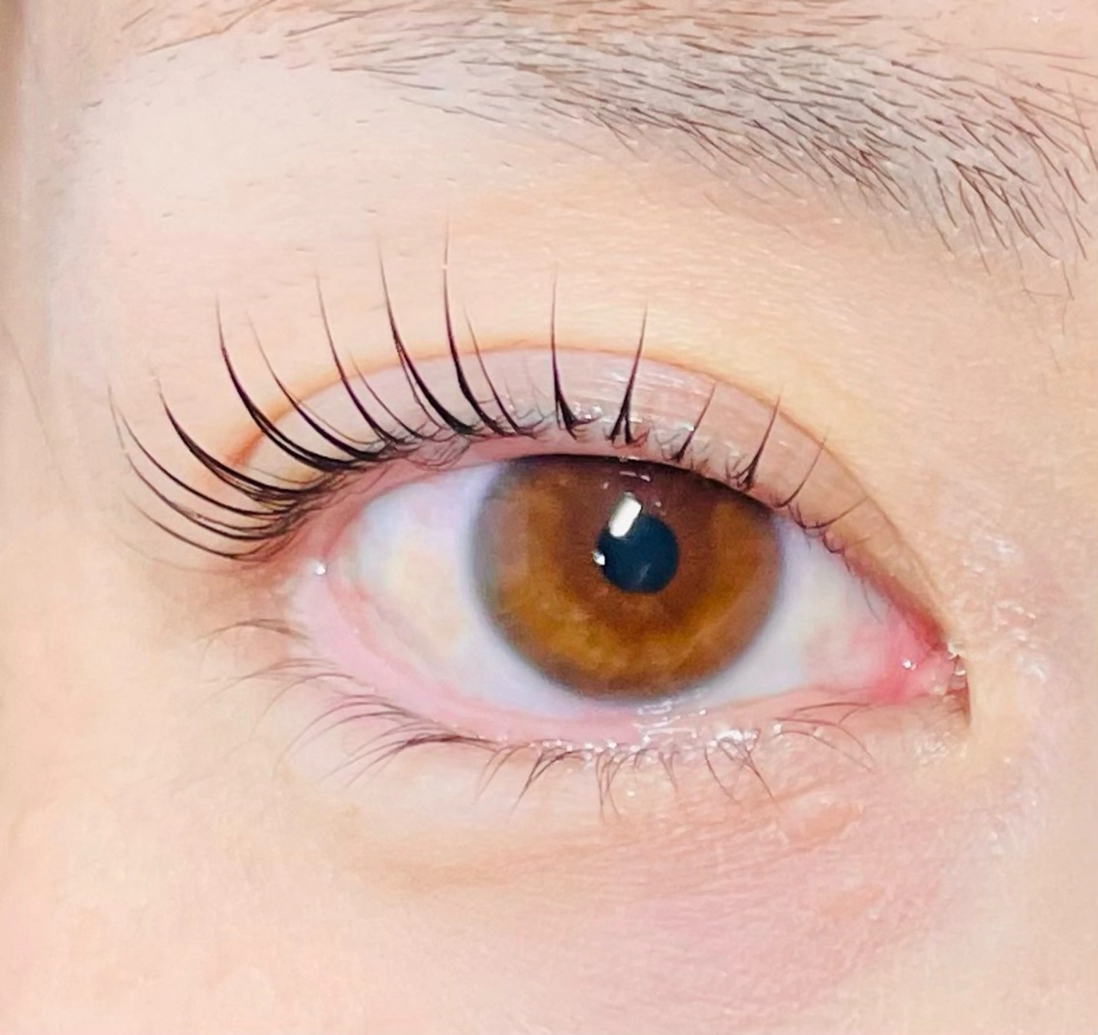 【平日限定】4/28まで【ラッシュリフト】デザインまつ毛パーマの写真