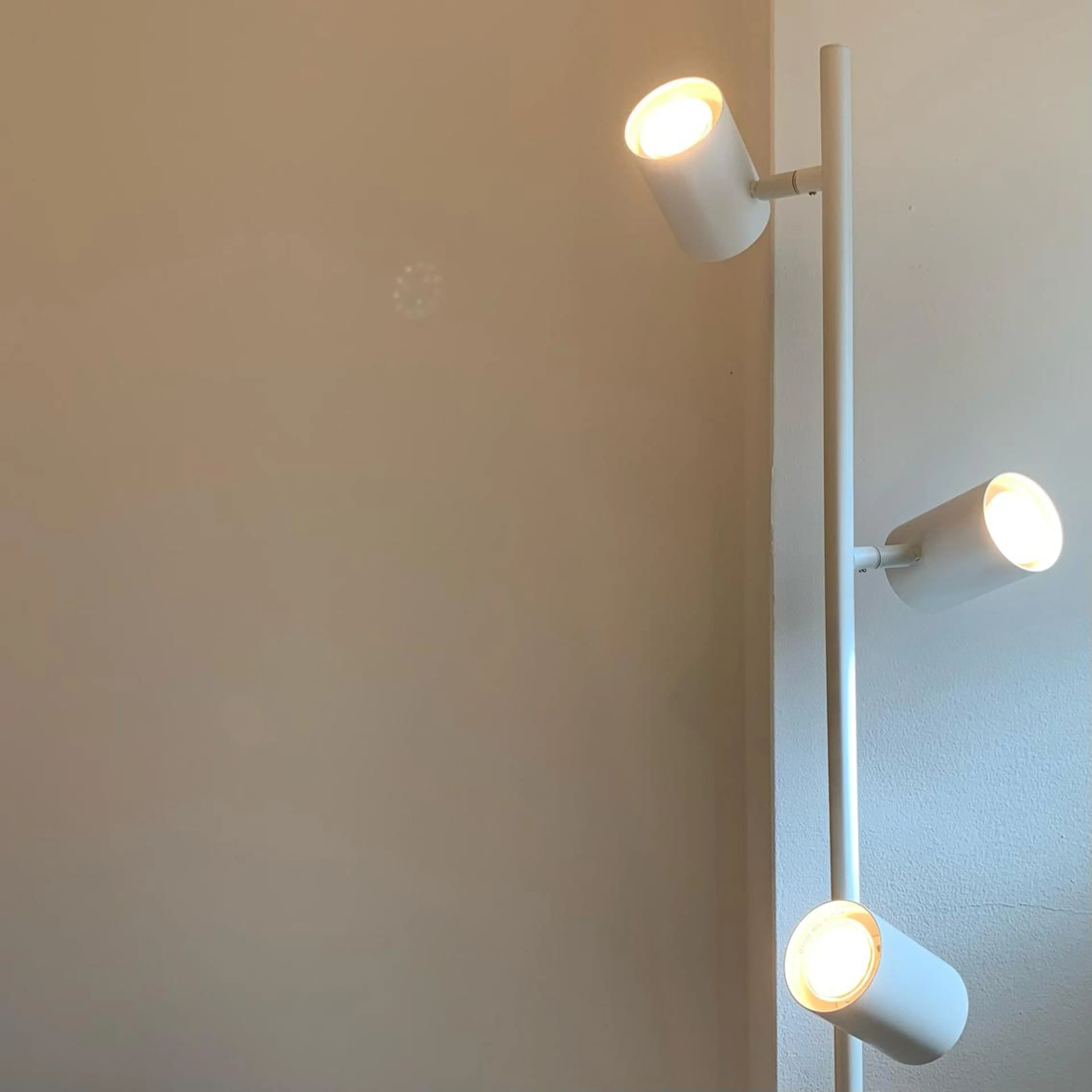 脱毛 【脱毛/眉毛専門店】 rudi　阿波座店の眉毛・アイブロウイメージ