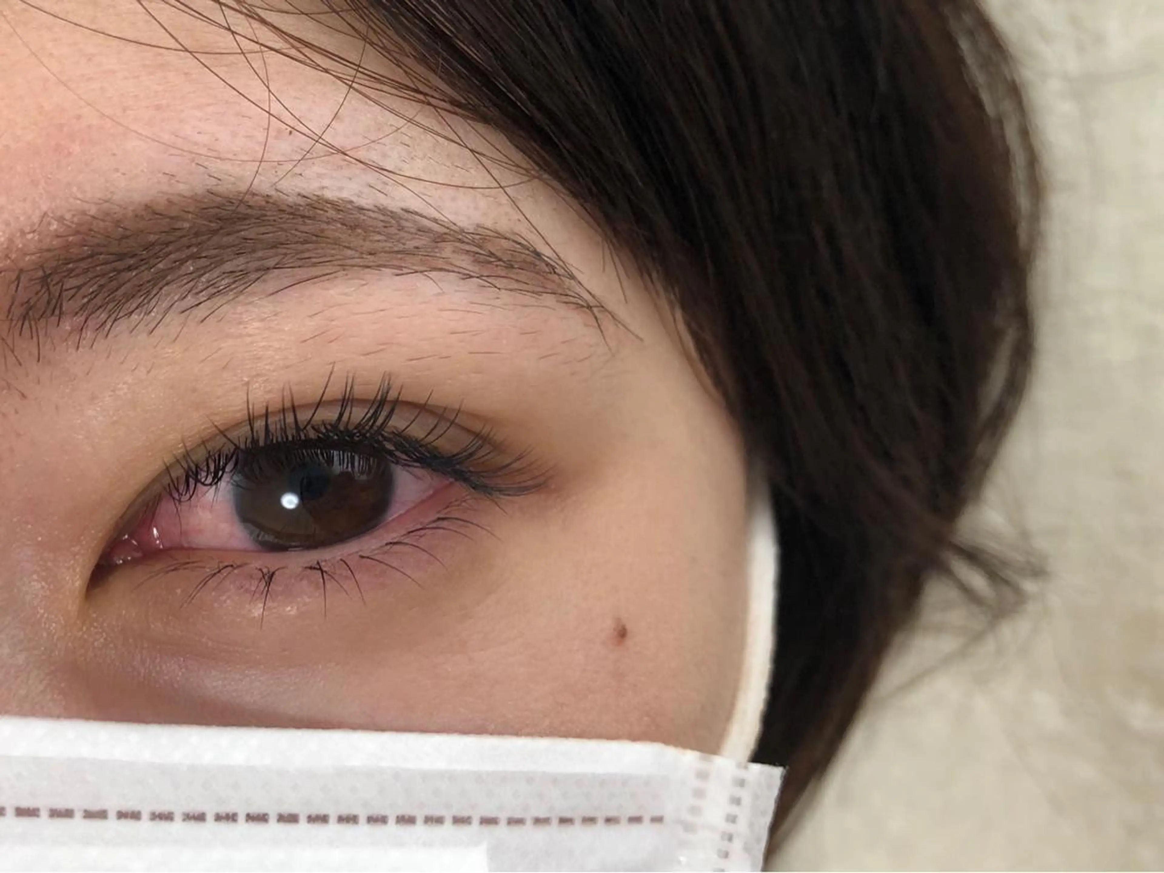 下まつげ片目10本両目20本の写真