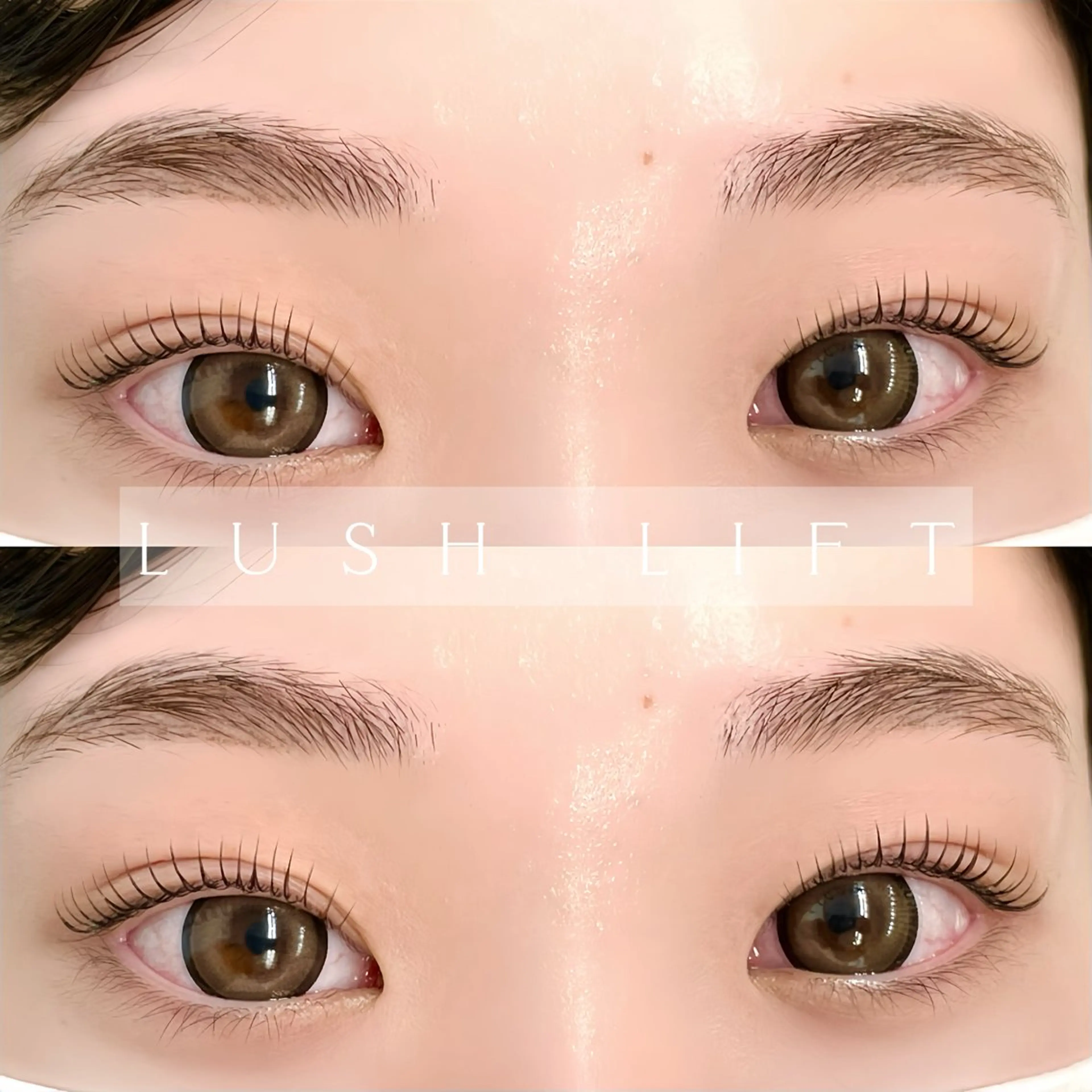 マツエク・マツパ 韓国風マツエク マツパ mai /マツパ.眉のマツエク・マツパデザイン