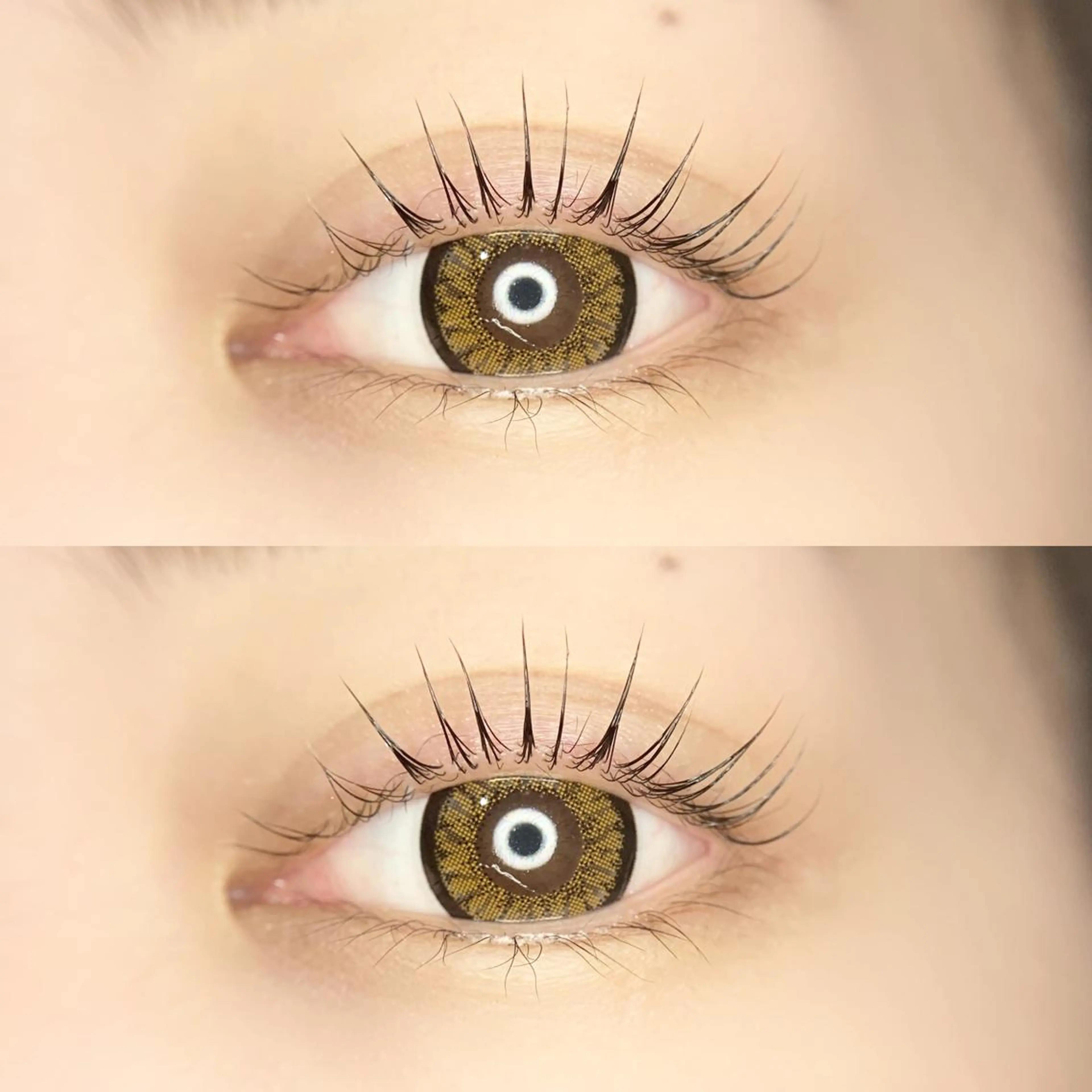 マツエク・マツパ まつ毛パーマ専門プライベートサロンEmmy(エミー)所属・saki🌷 Emmyのマツエク・マツパデザイン