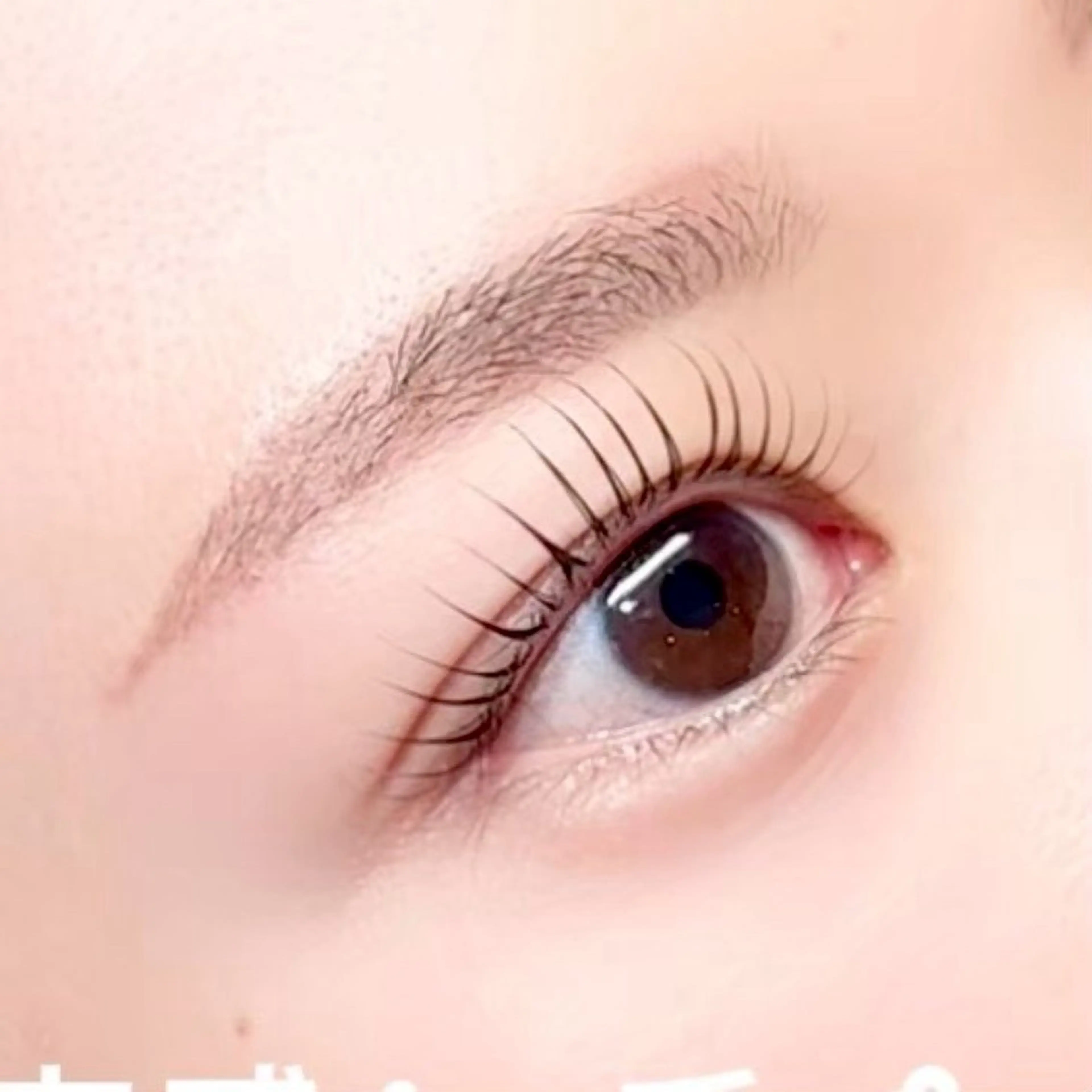 4月限定🤍束感まつげパーマ🎀♡(パリジェンヌ含む)練習モデル🙇🏻♀️の写真