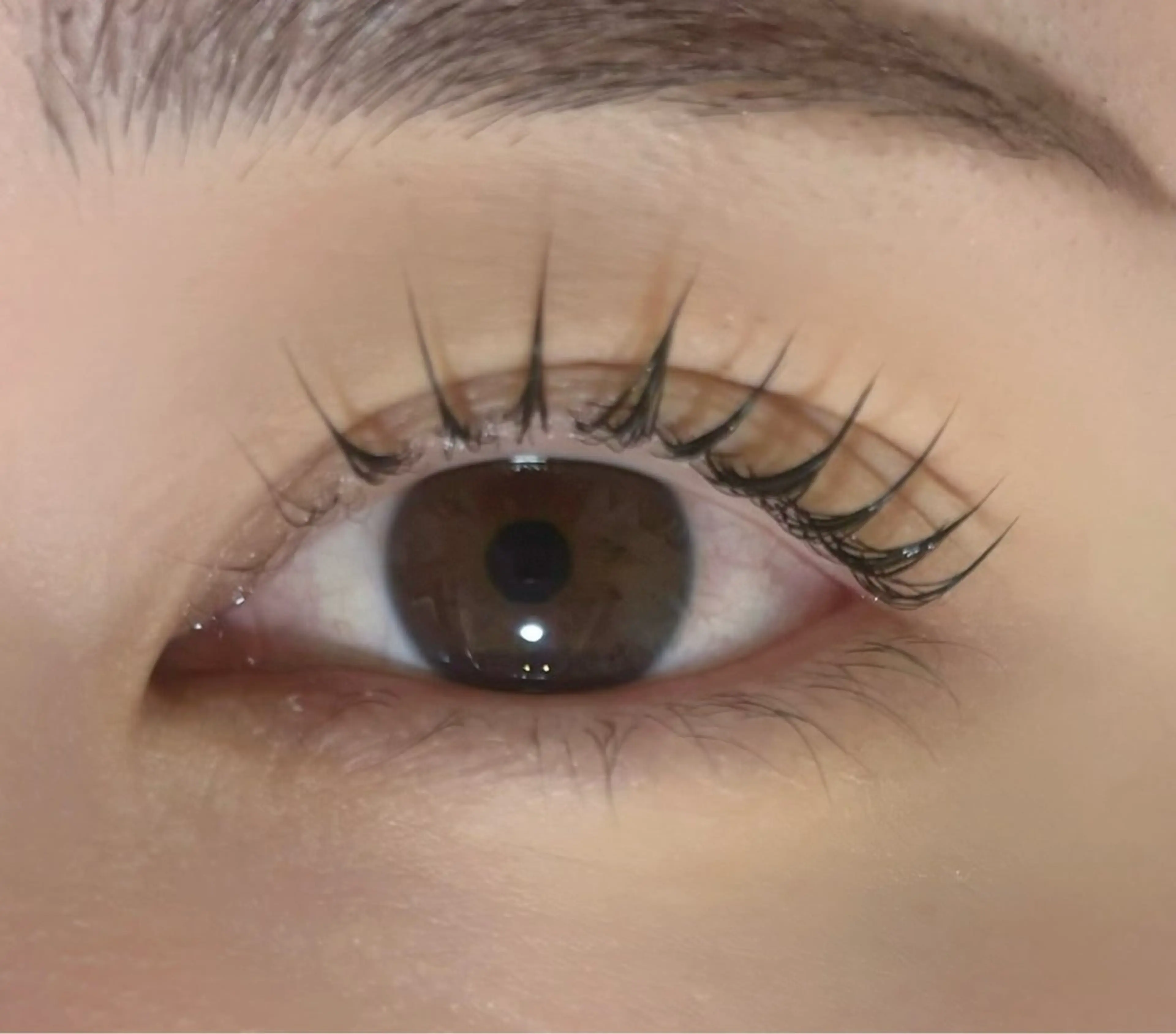 マツエク・マツパ マリーテレジア 🐨MIURAのマツエク・マツパデザイン