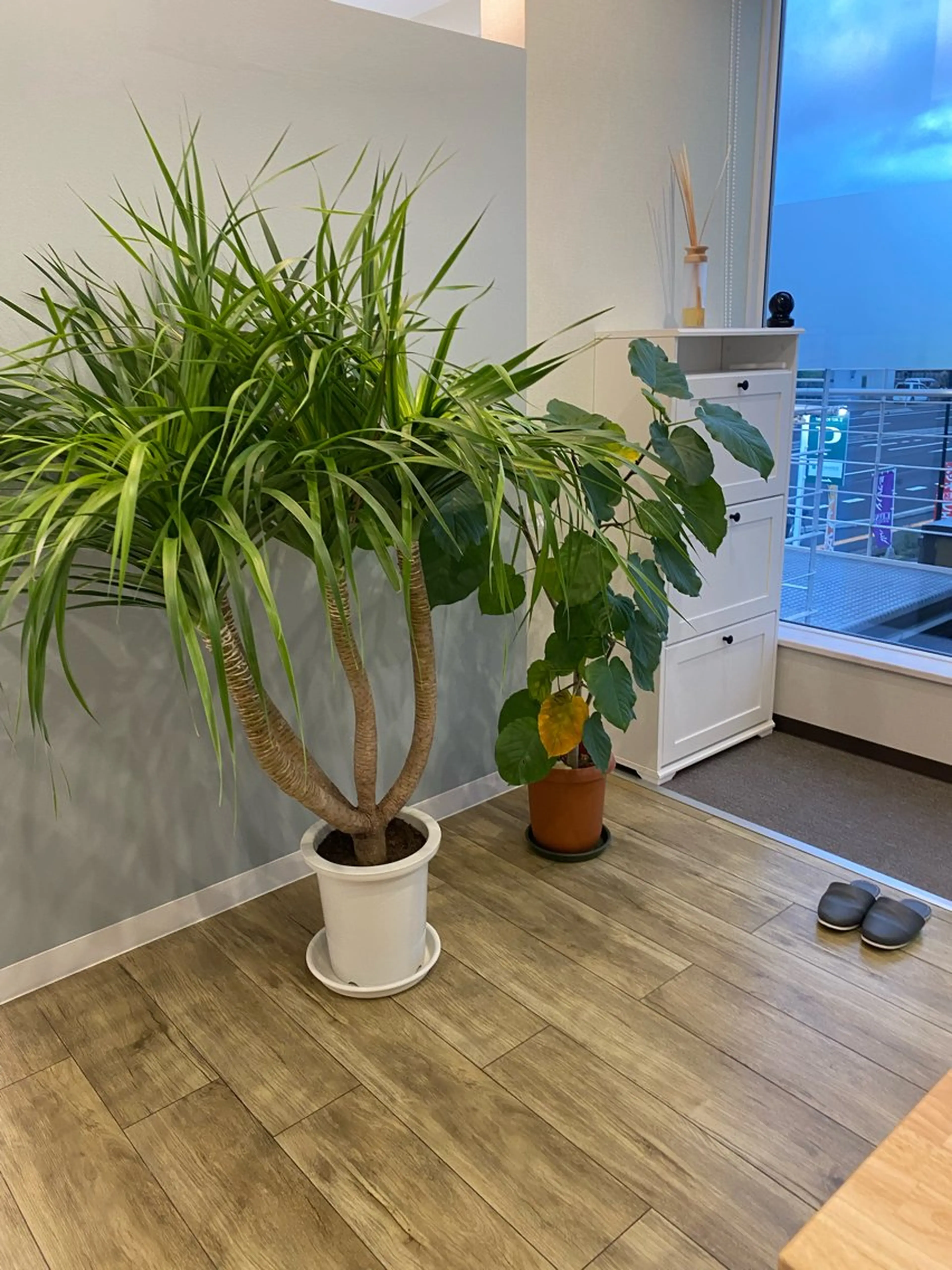 メンズ その他 nanami -ホワイトニングのその他イメージ