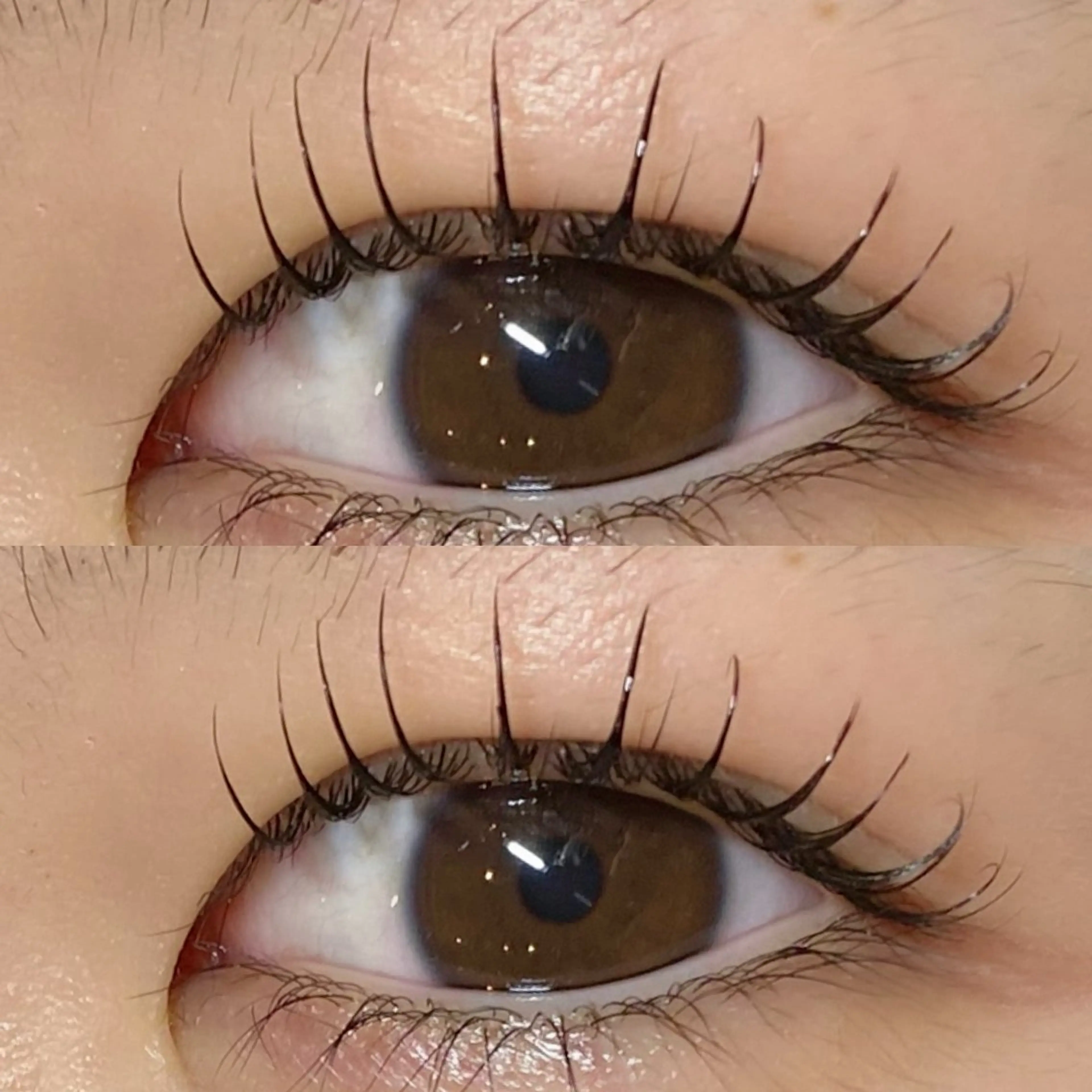 まつ毛パーマの写真