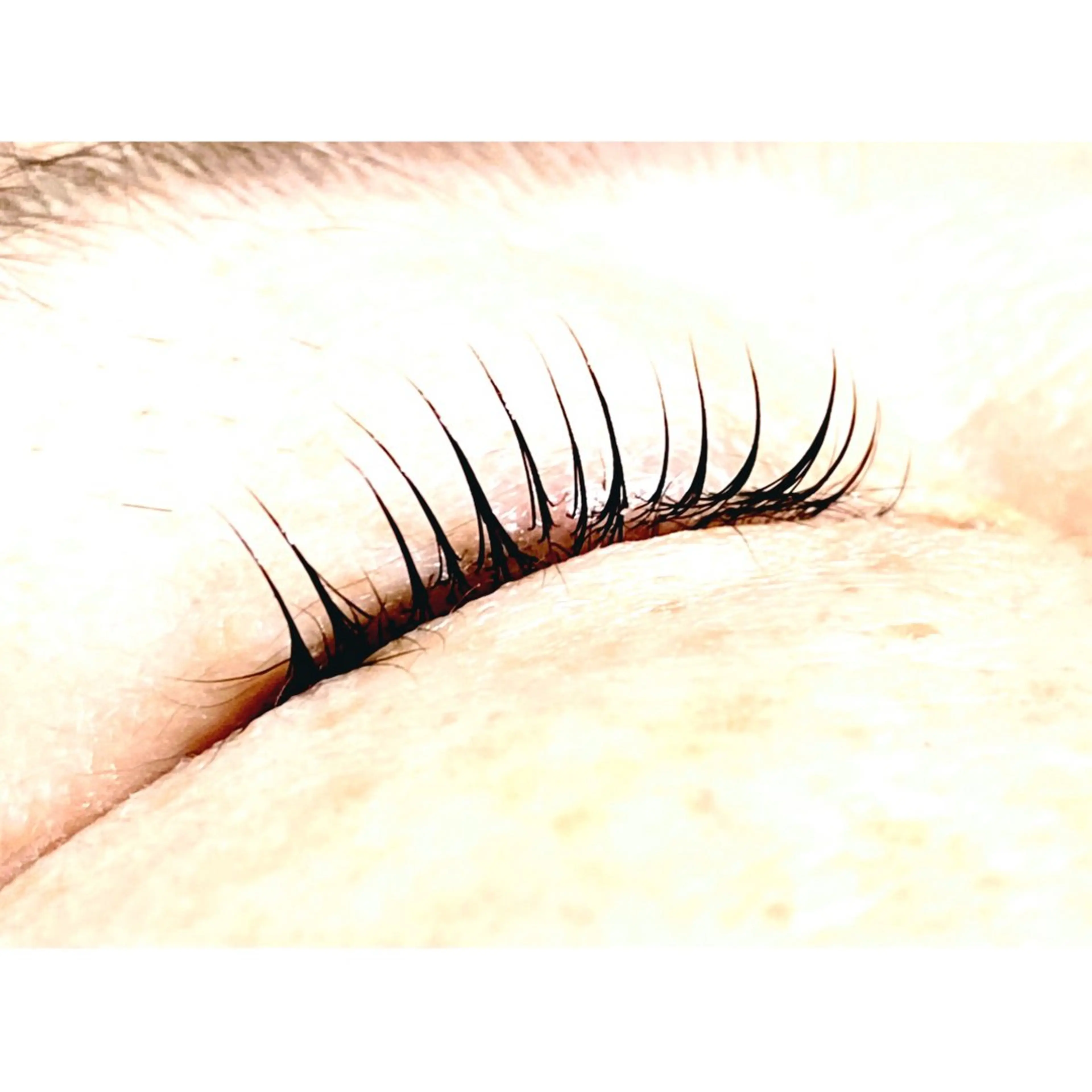 マツエク・マツパ マツパ handa kiyokaのマツエク・マツパデザイン