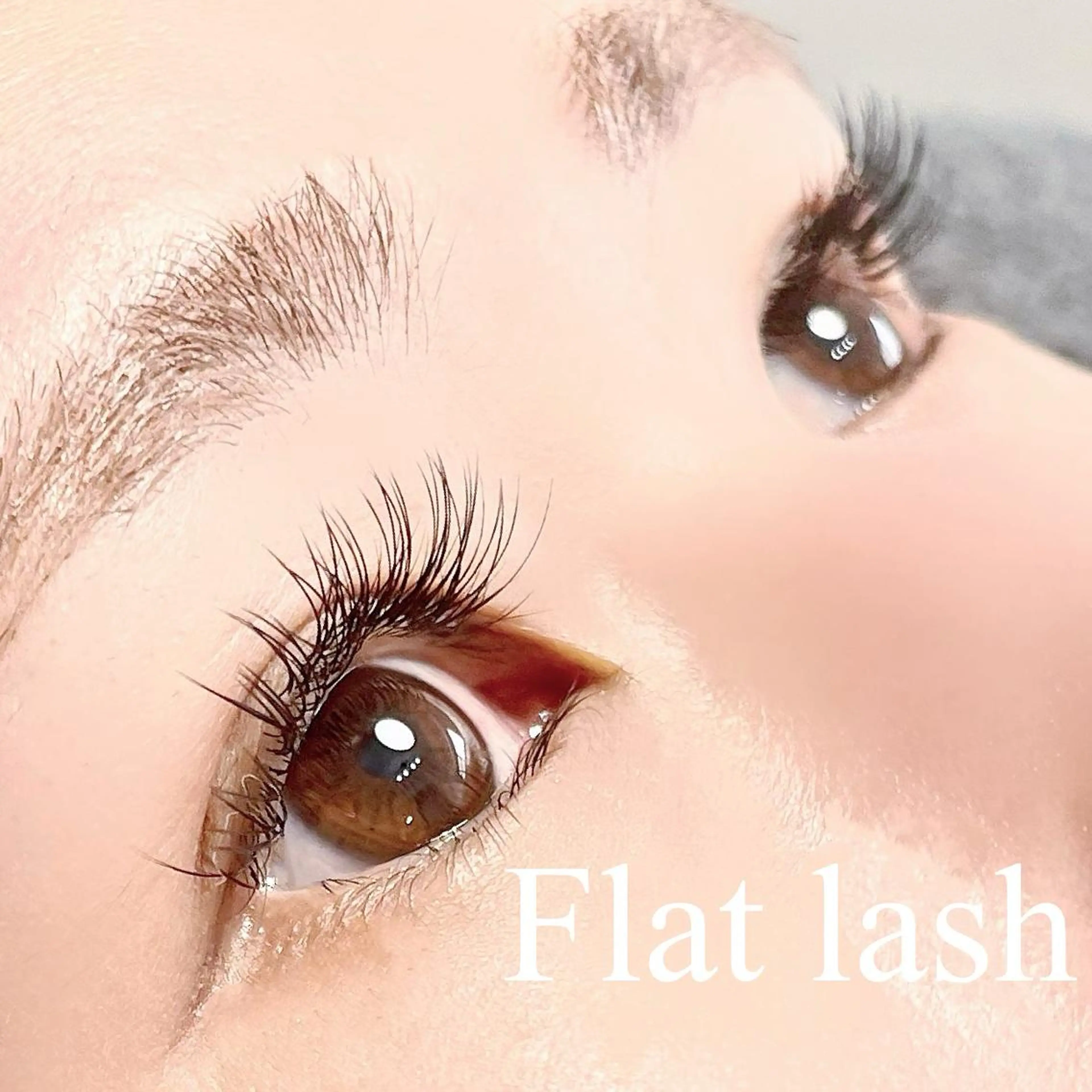 16日(水)限定‼︎ ✨LEDエクステ120本✨の写真