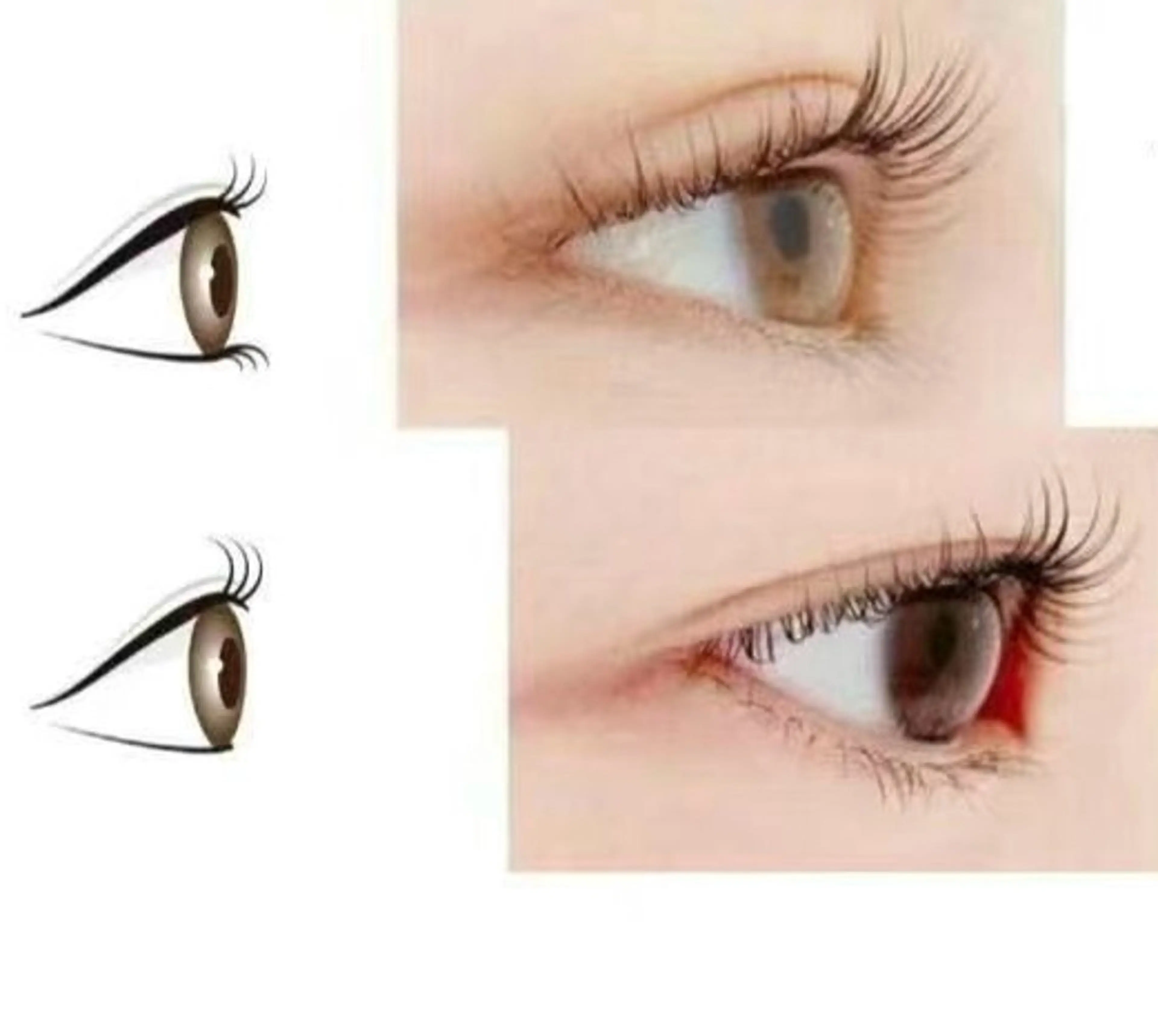 パーマ Stunner Tinaのマツエク・マツパデザイン