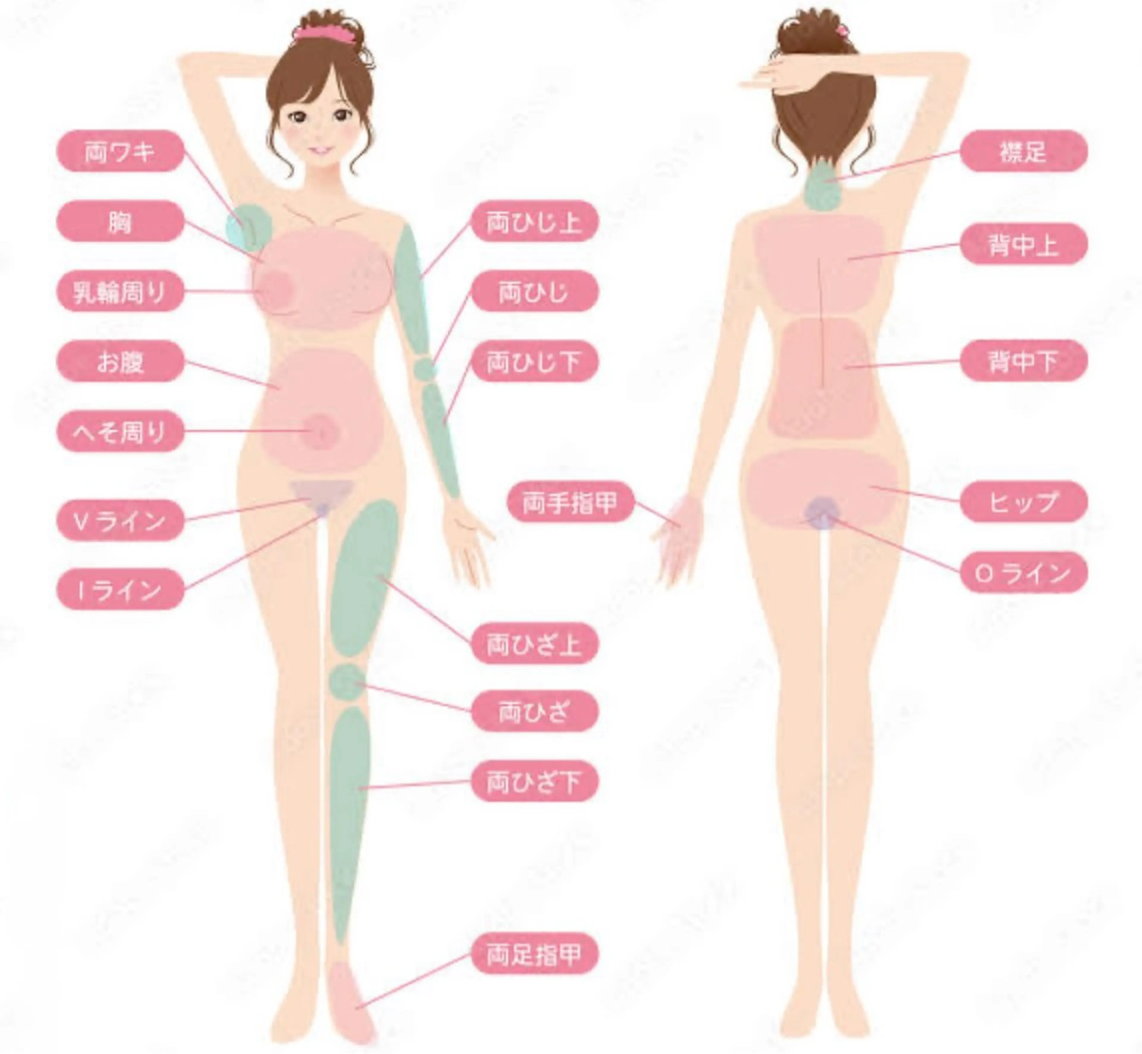 ⭐️新規⭐️全身脱毛  顔・VIO含む(シェービング無し)RF照射、LED美容照射、アロマスチーム、細胞修復Hz付きの写真