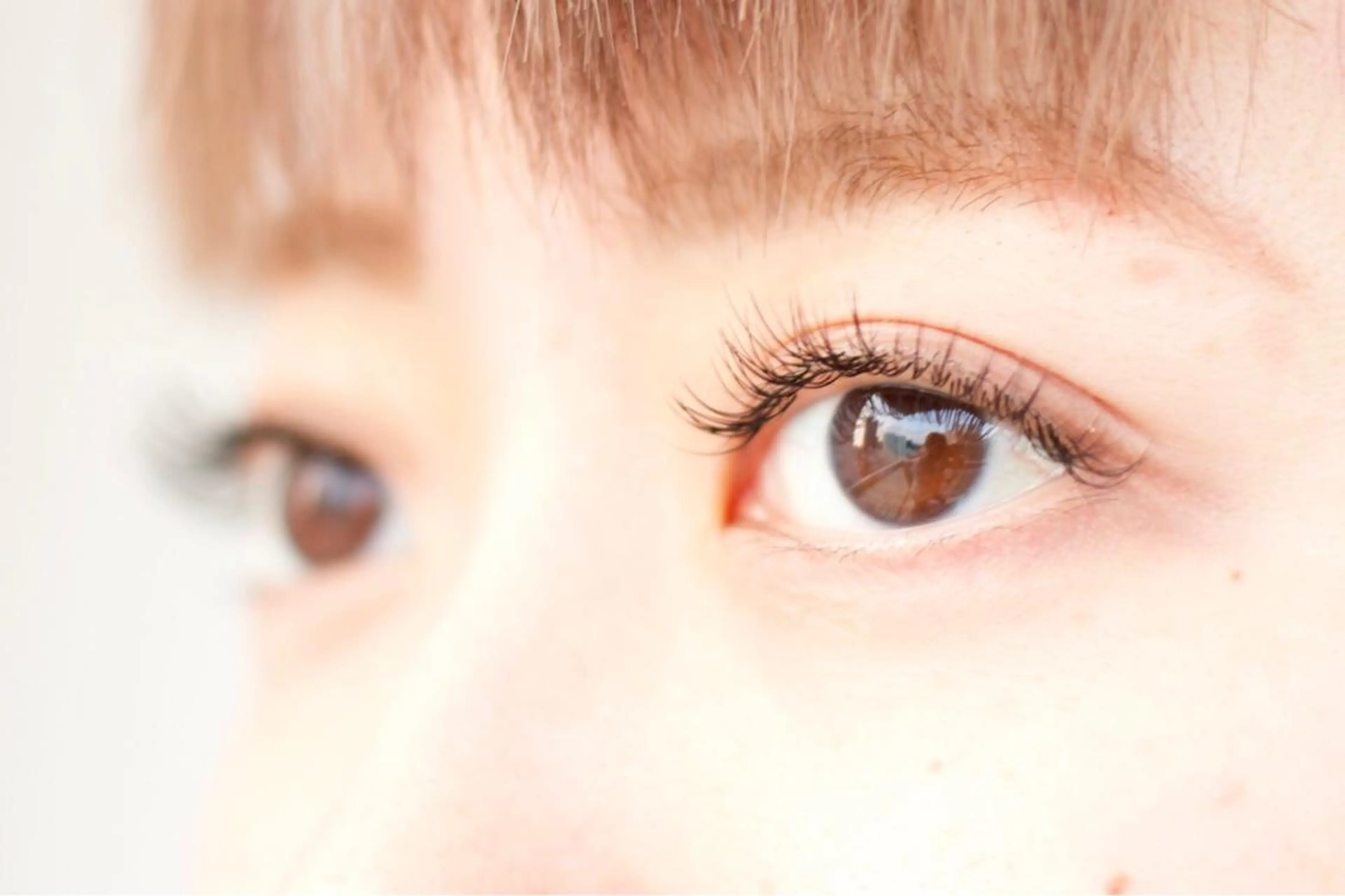 フラットラッシュ80本の写真