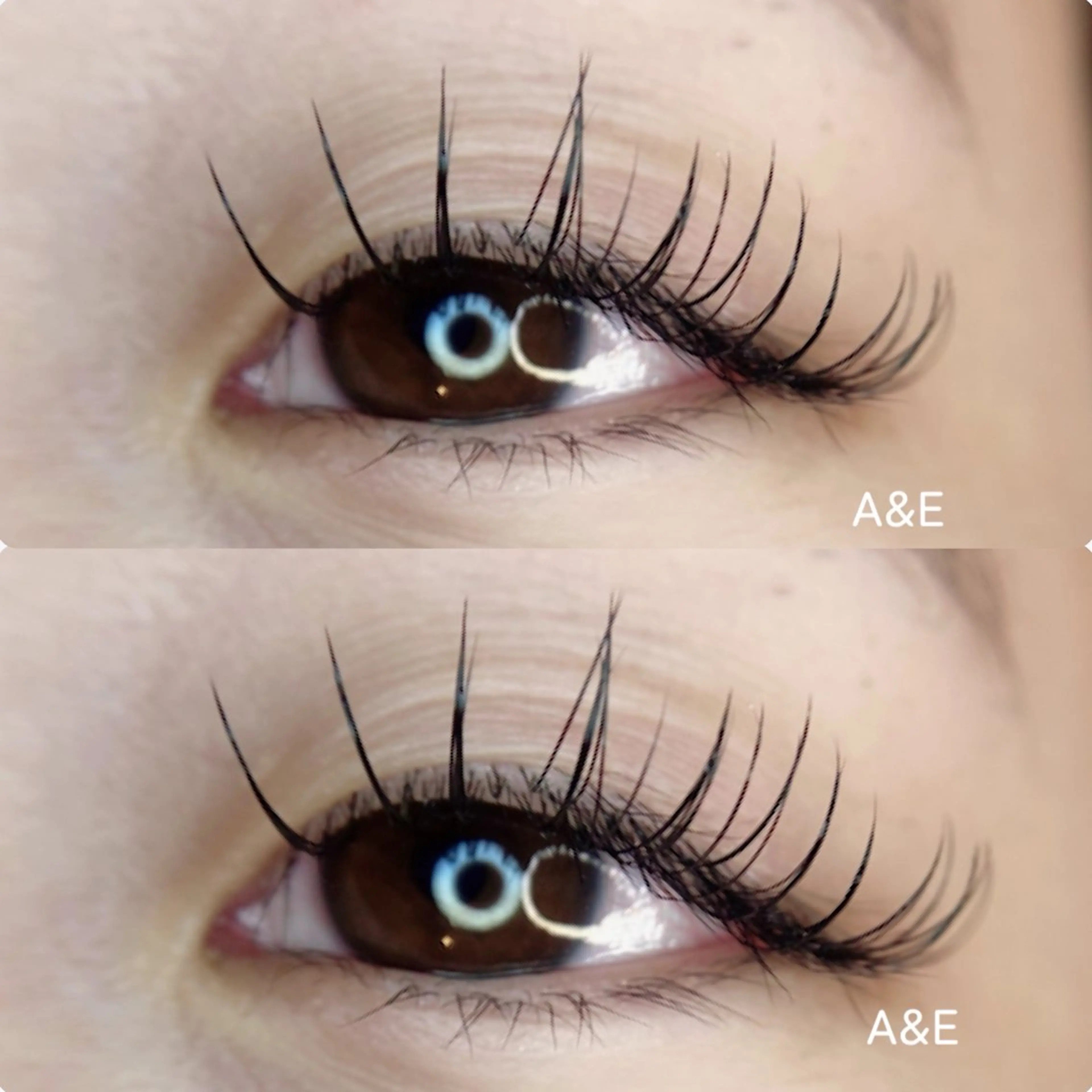 マツエク・マツパ Ａ&Ｅ所属・西岡 /マツエク/束感🎀のマツエク・マツパデザイン