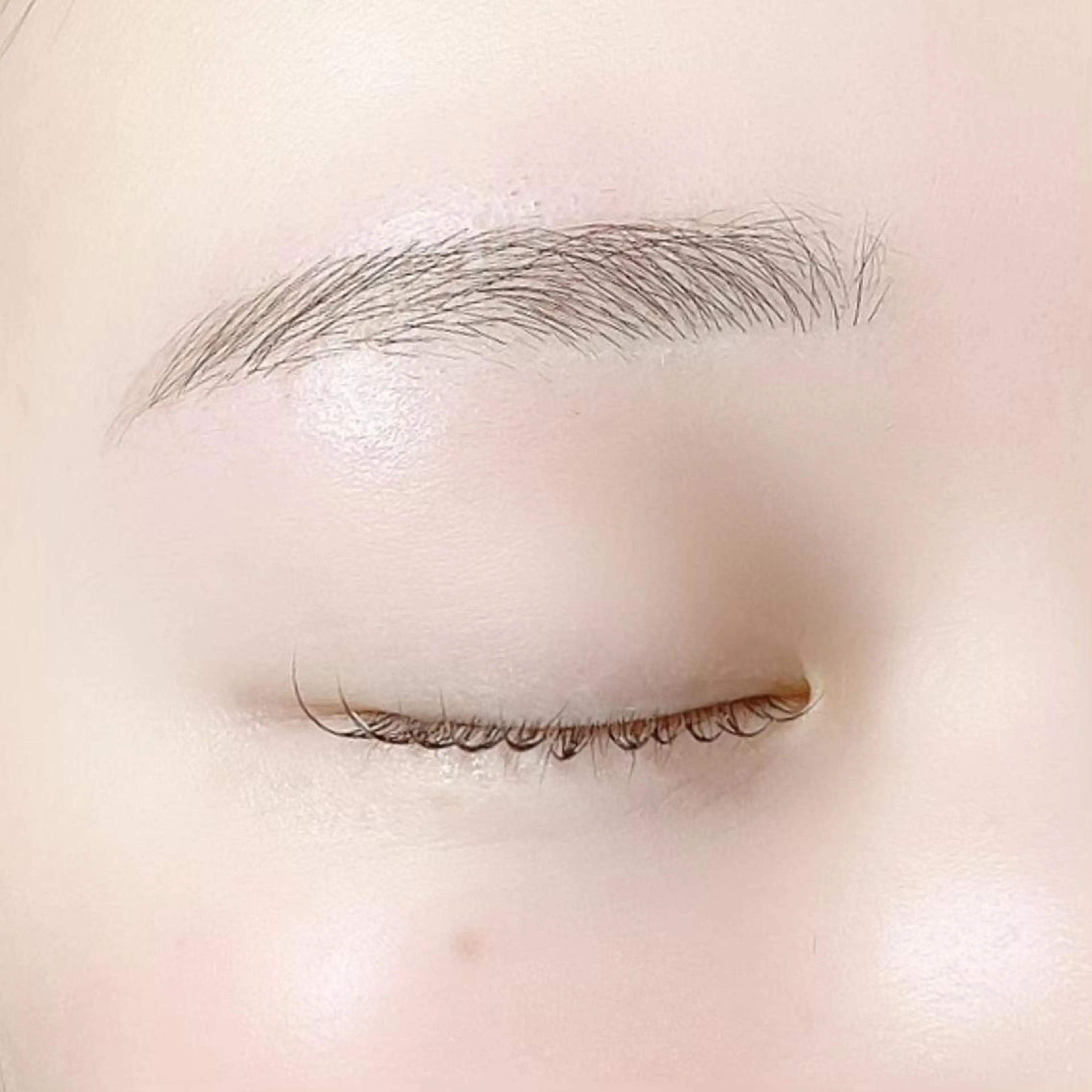 【30分で完了】即垢抜け✨似合わせアイブロウワックス🫧間引きなし❌の写真