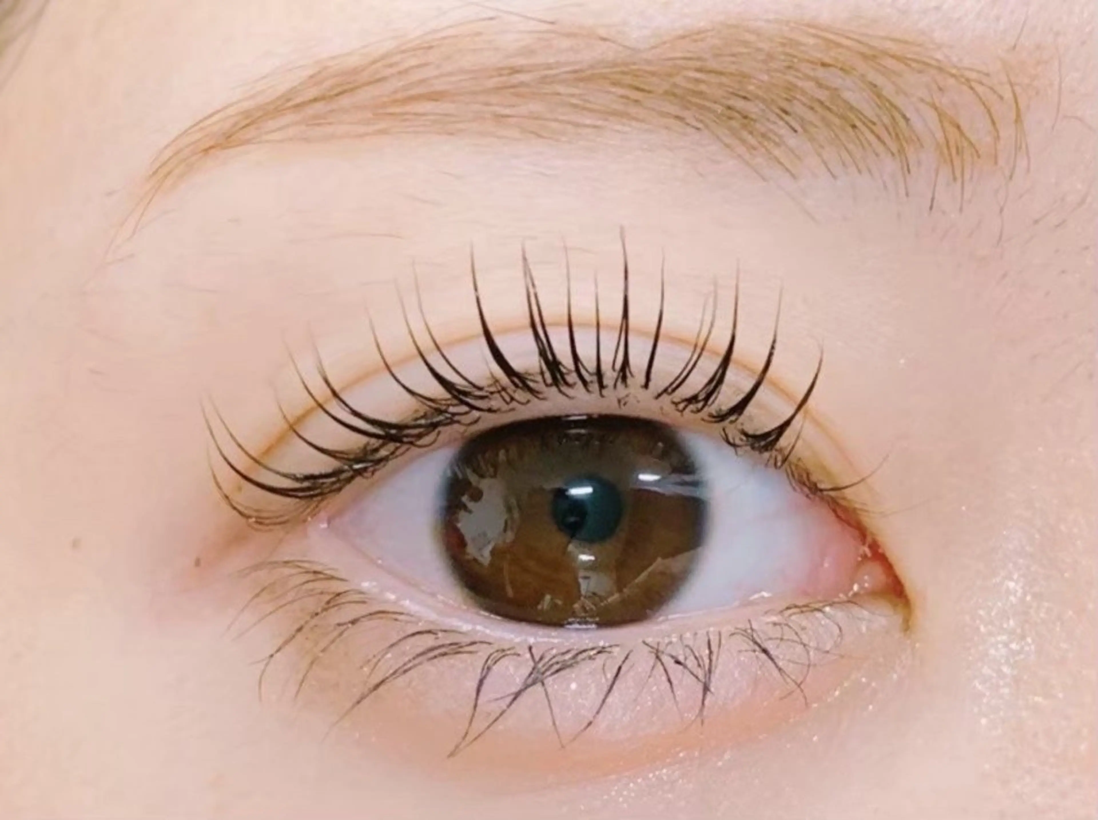 マツエク・マツパ マツパ BELLEZZA 🧸ITO🐾のエステ・リラクイメージ