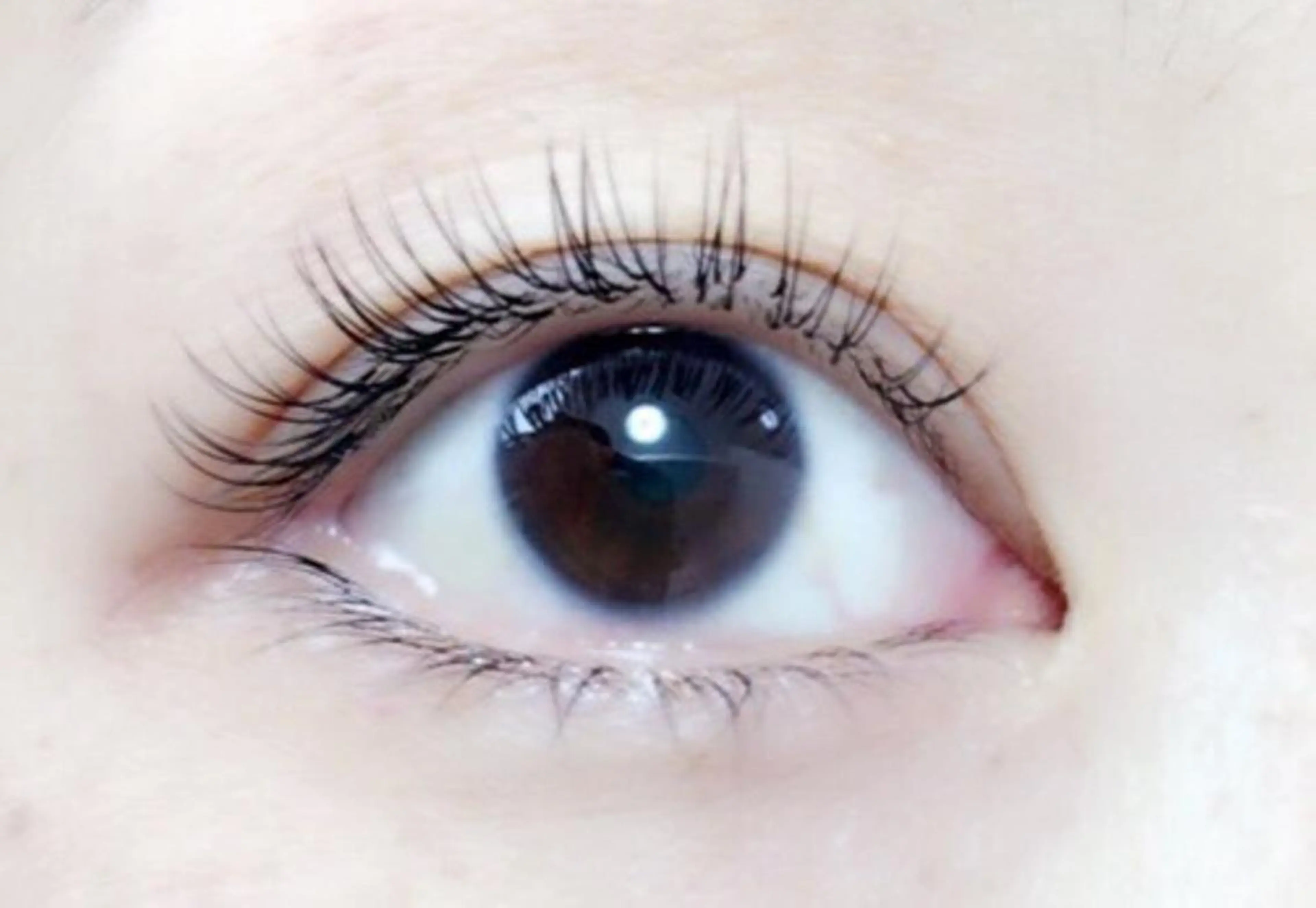 マツエク・マツパ ミンク Shinus シャイナスのマツエク・マツパデザイン