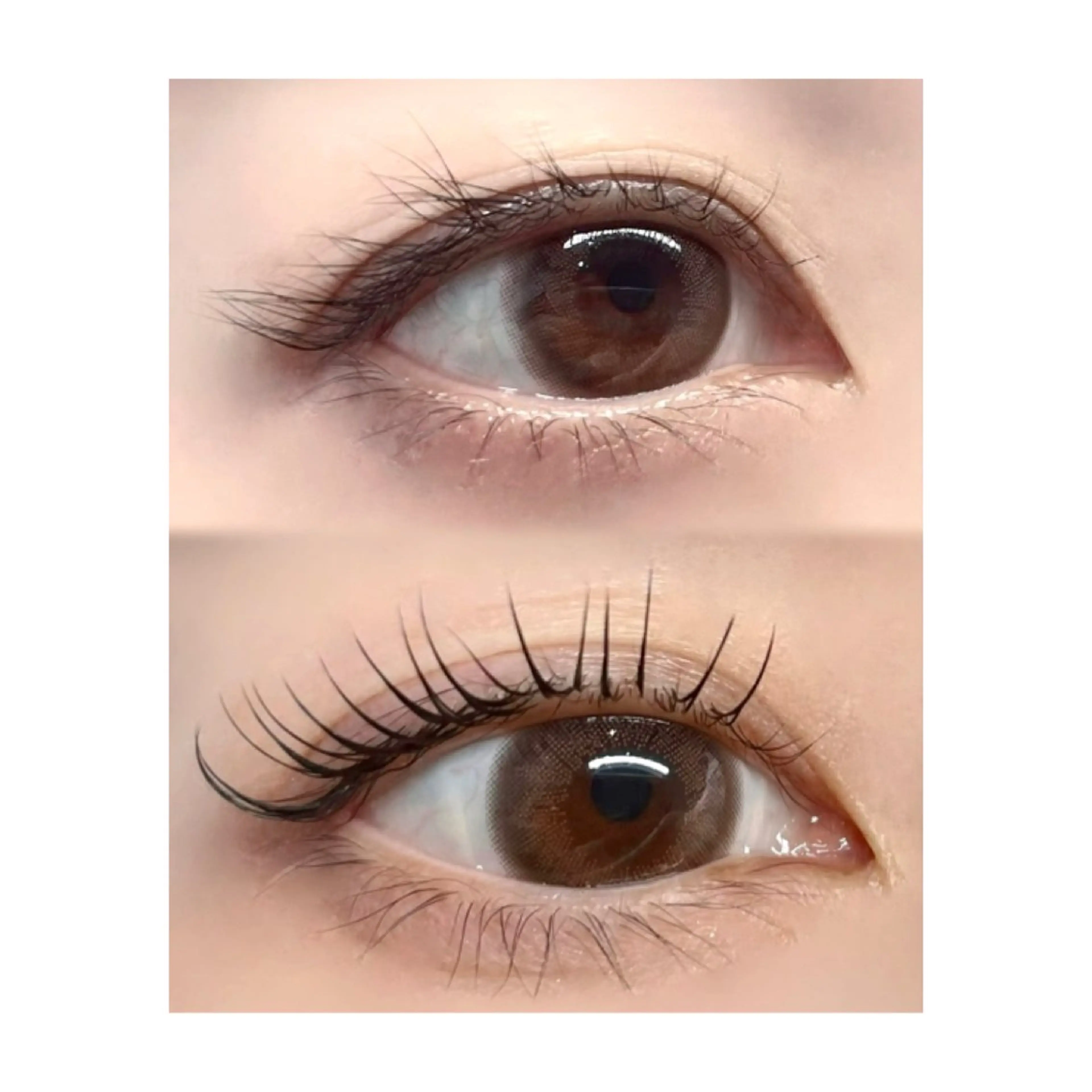 大人気✨リフエク✨まつ毛パーマ&エクステ60本 ¥9000の写真