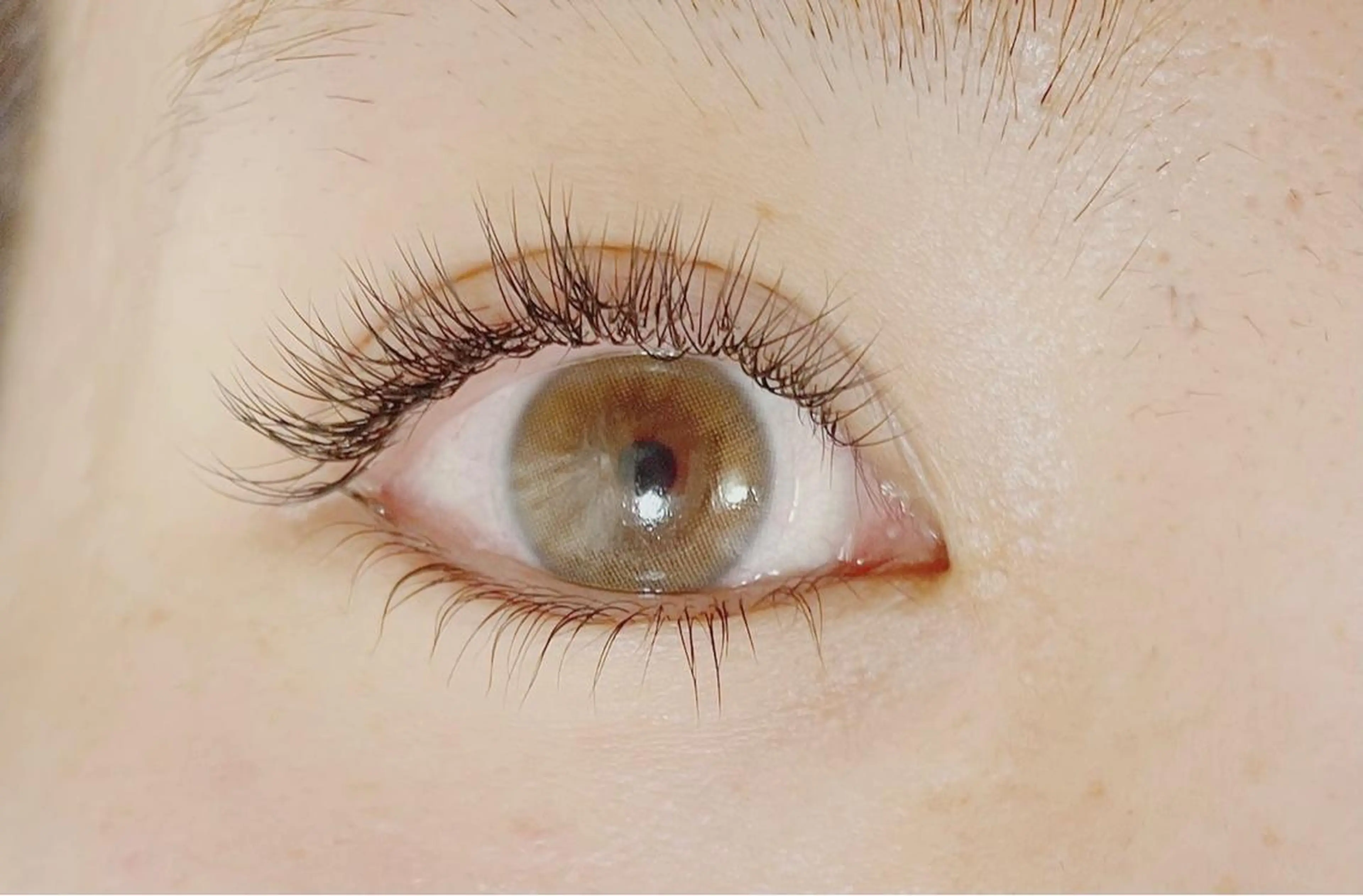 マツエク・マツパ Lotus.所属・Lotus. makoのエステ・リラクイメージ