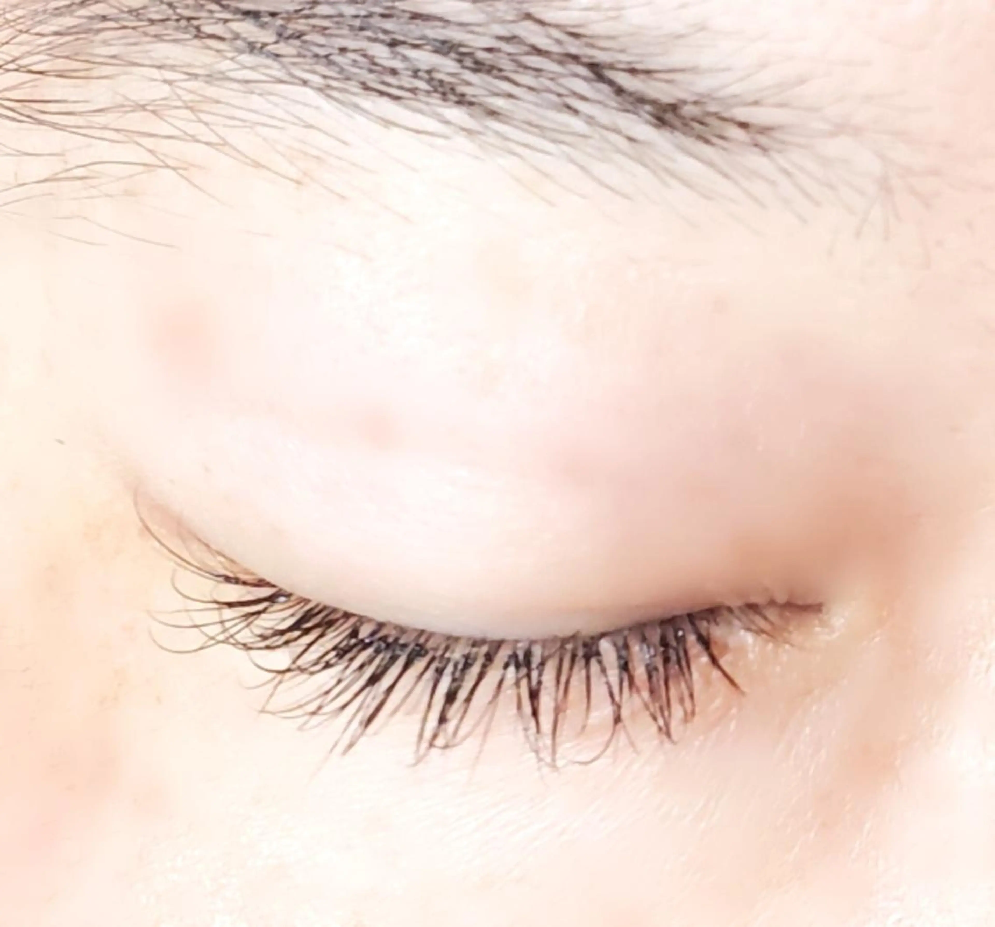 まつ毛エクステンション ⭐最高級セーブル(~100本)⭐オフ込み⭐初回アイシャンプー付きの写真