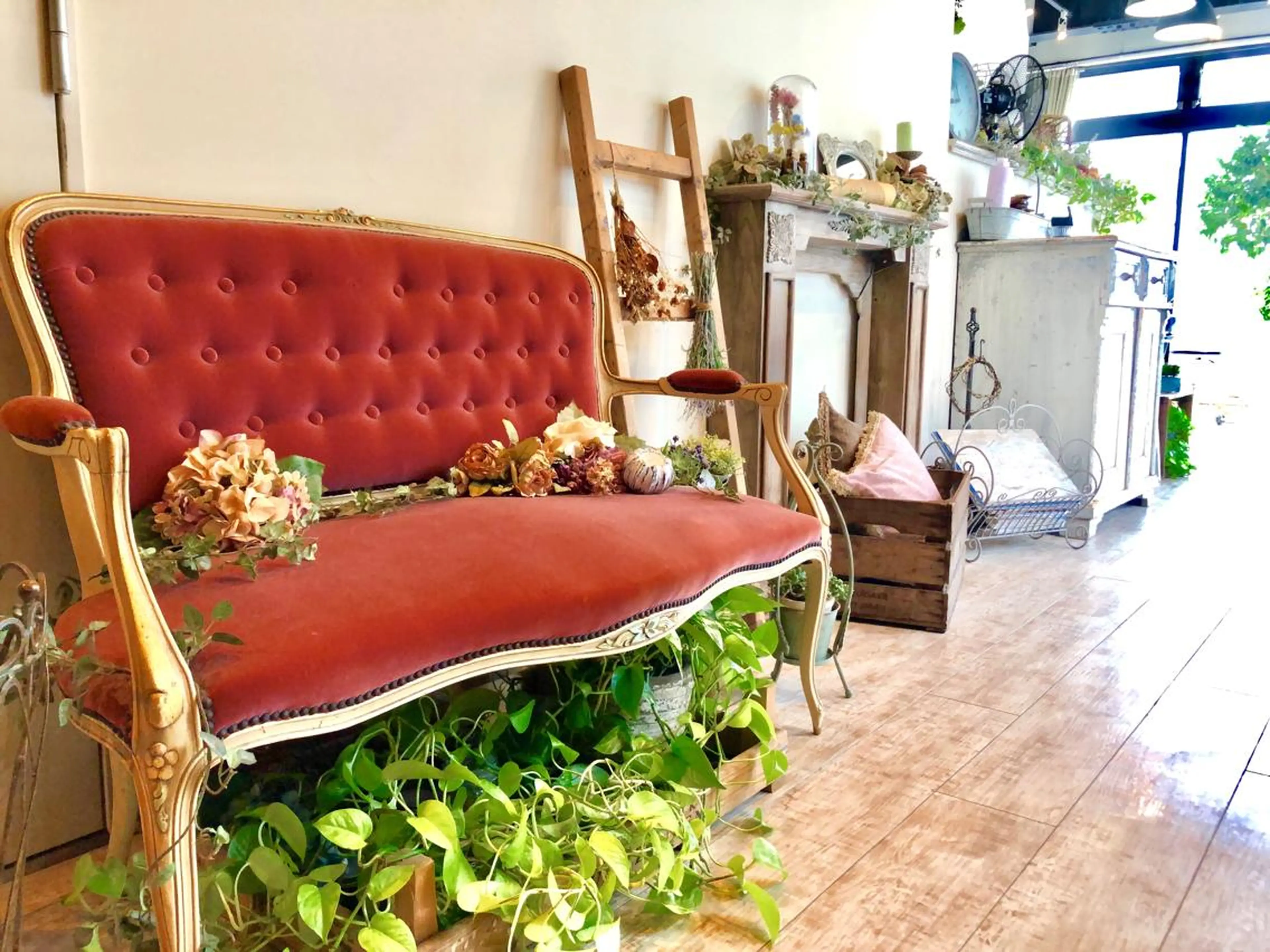 ️ 【3回まで使える】限定クーポン❗️ ✨   メンテカット＋カラー＋ハーブTrの写真