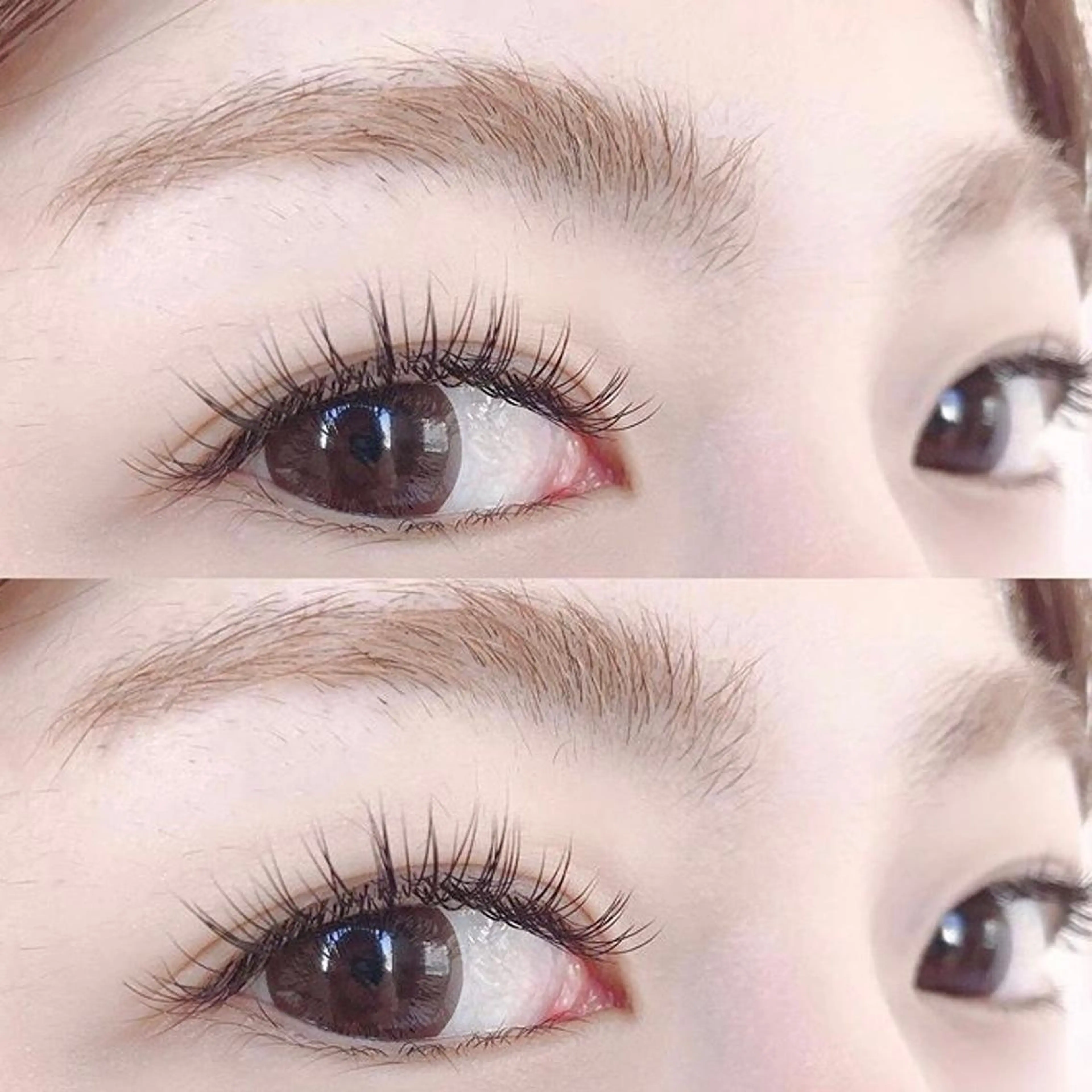 フラットラッシュ120本の写真